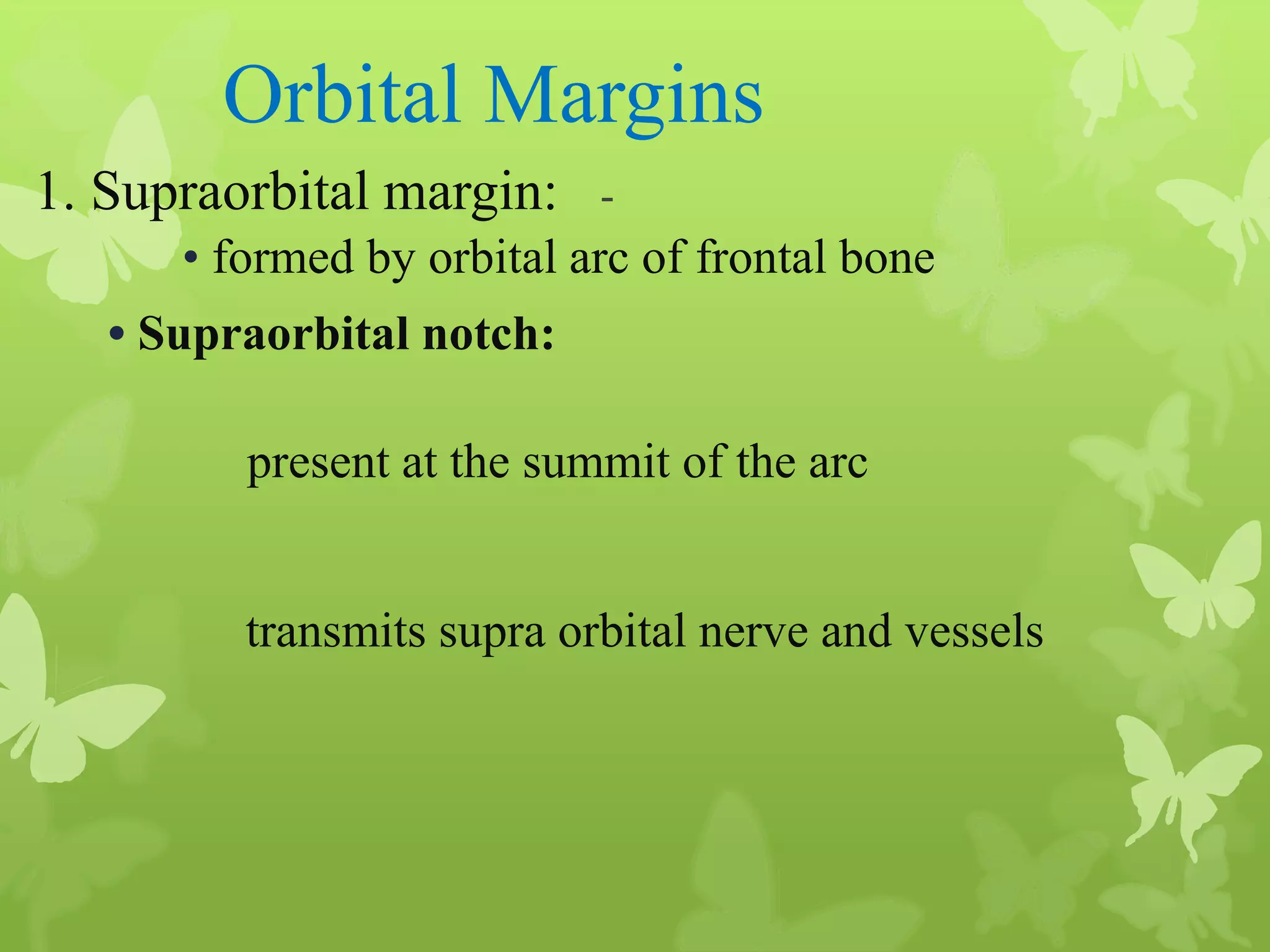Anatomy of Eye Orbit