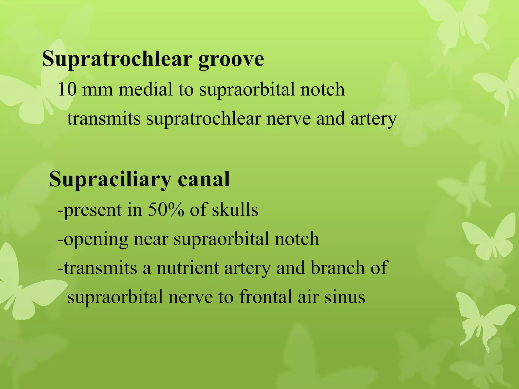 Anatomy of Eye Orbit