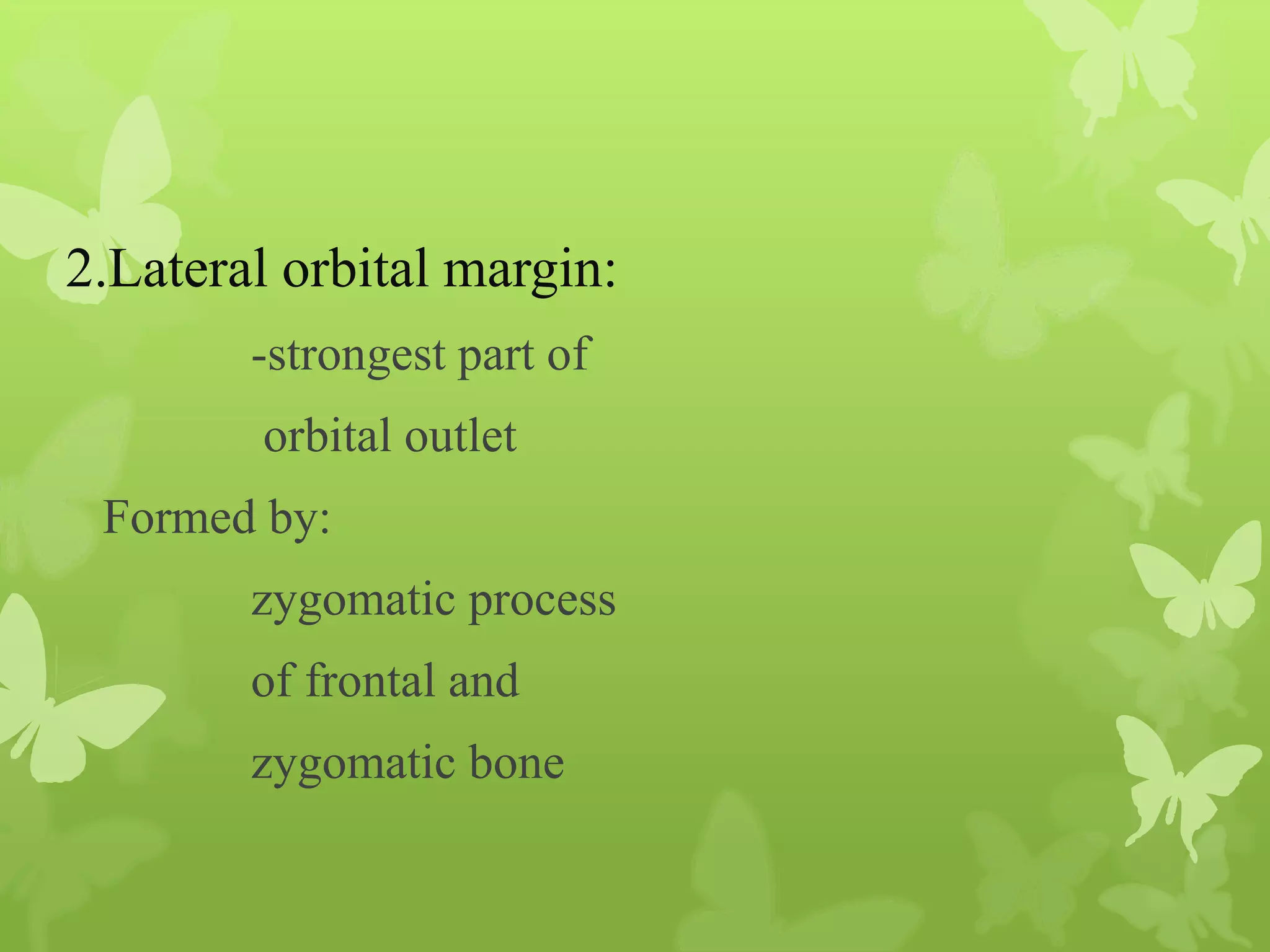 Anatomy of Eye Orbit