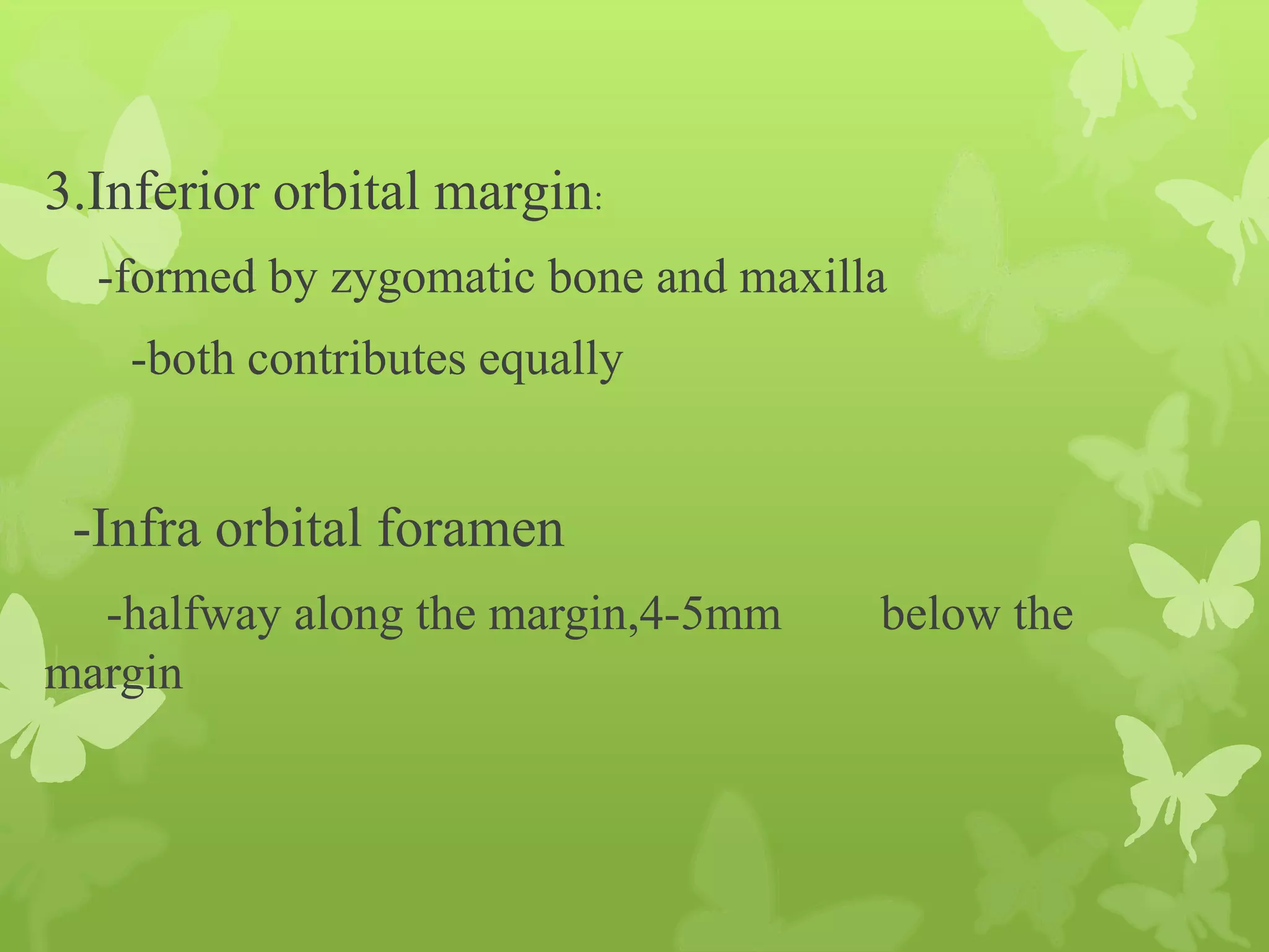 Anatomy of Eye Orbit