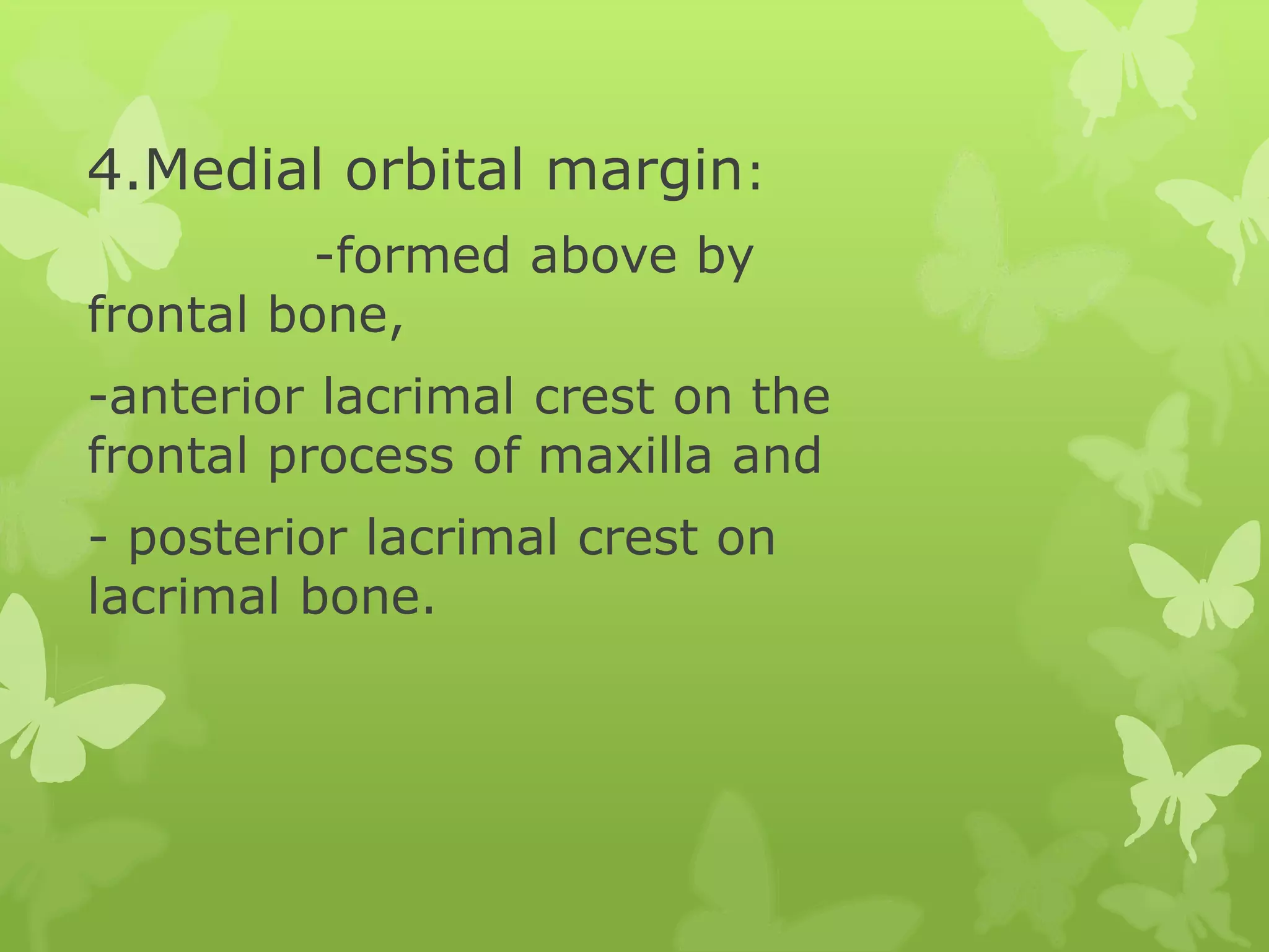 Anatomy of Eye Orbit