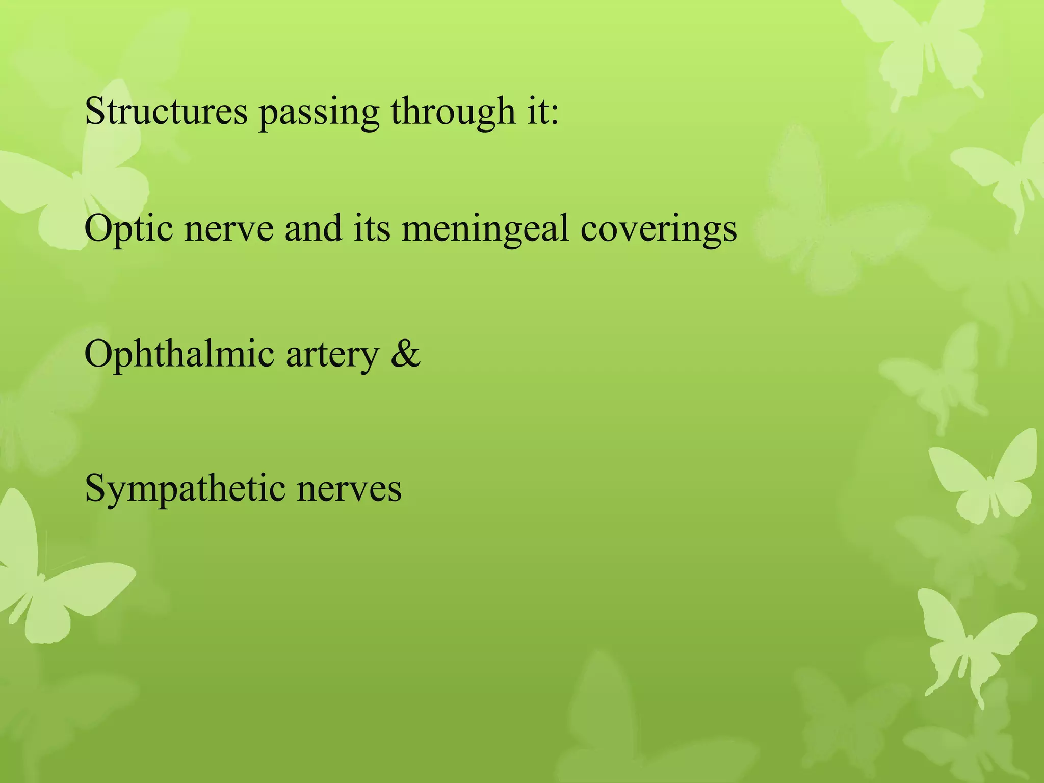 Anatomy of Eye Orbit
