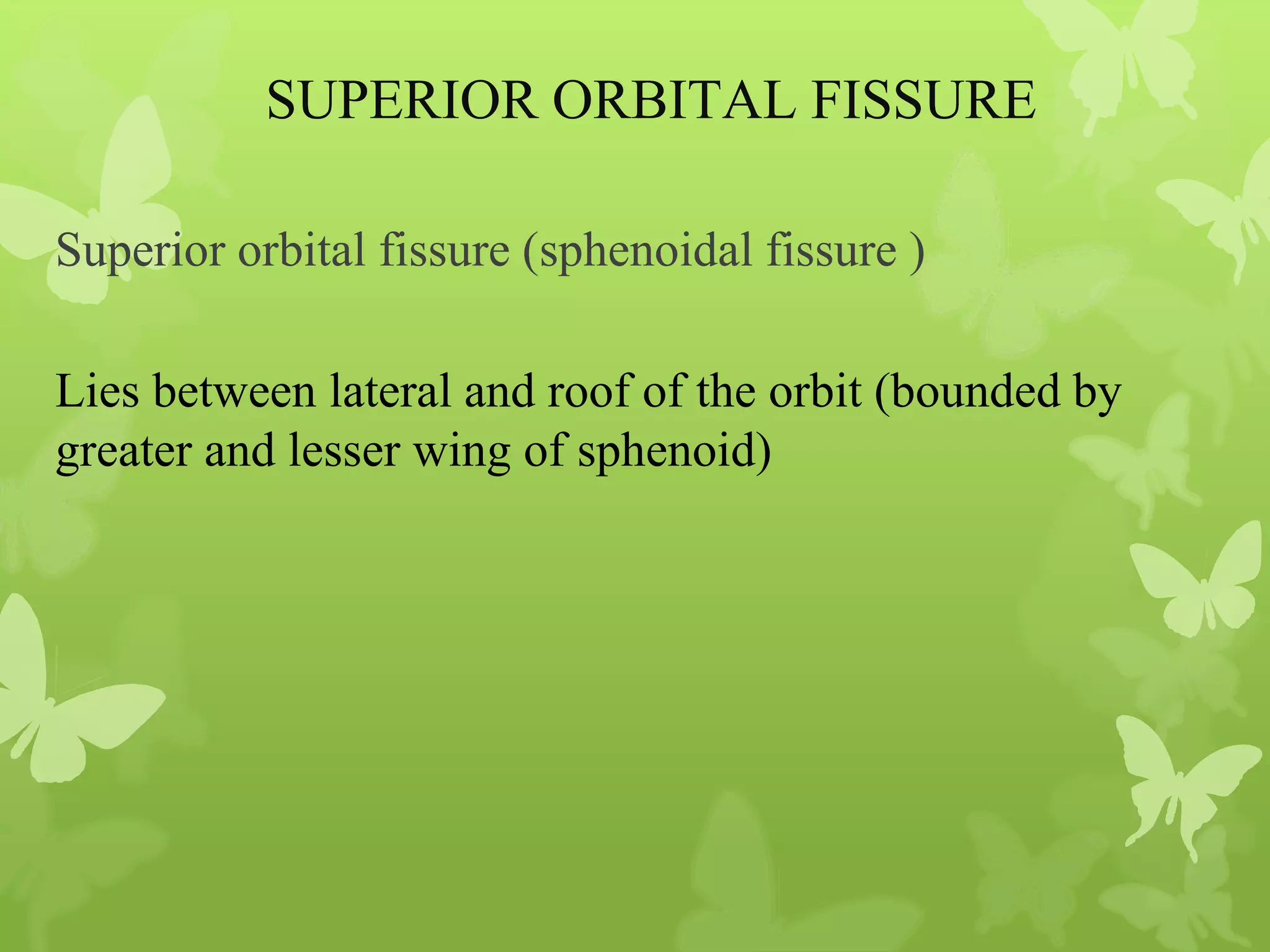 Anatomy of Eye Orbit