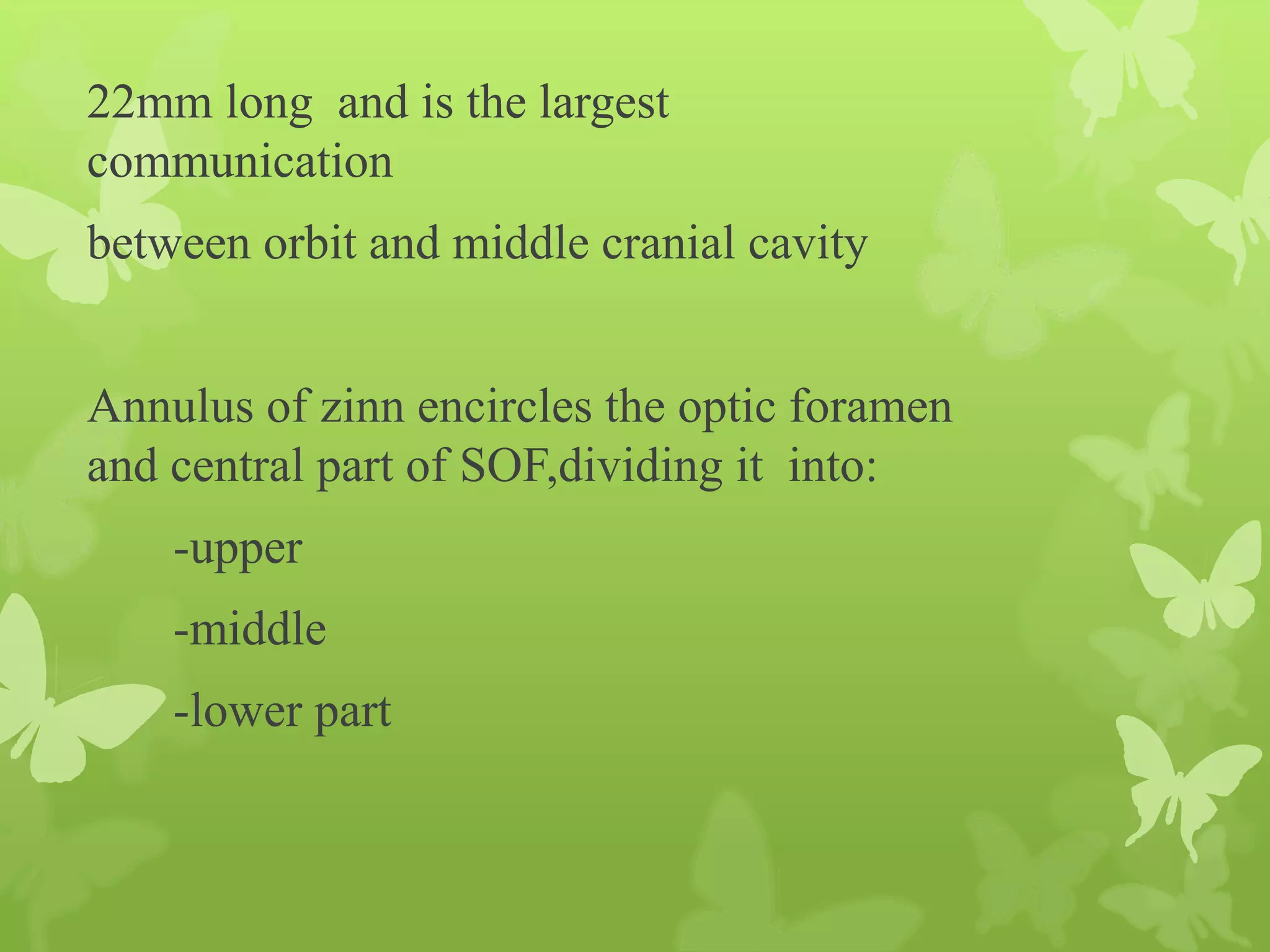 Anatomy of Eye Orbit