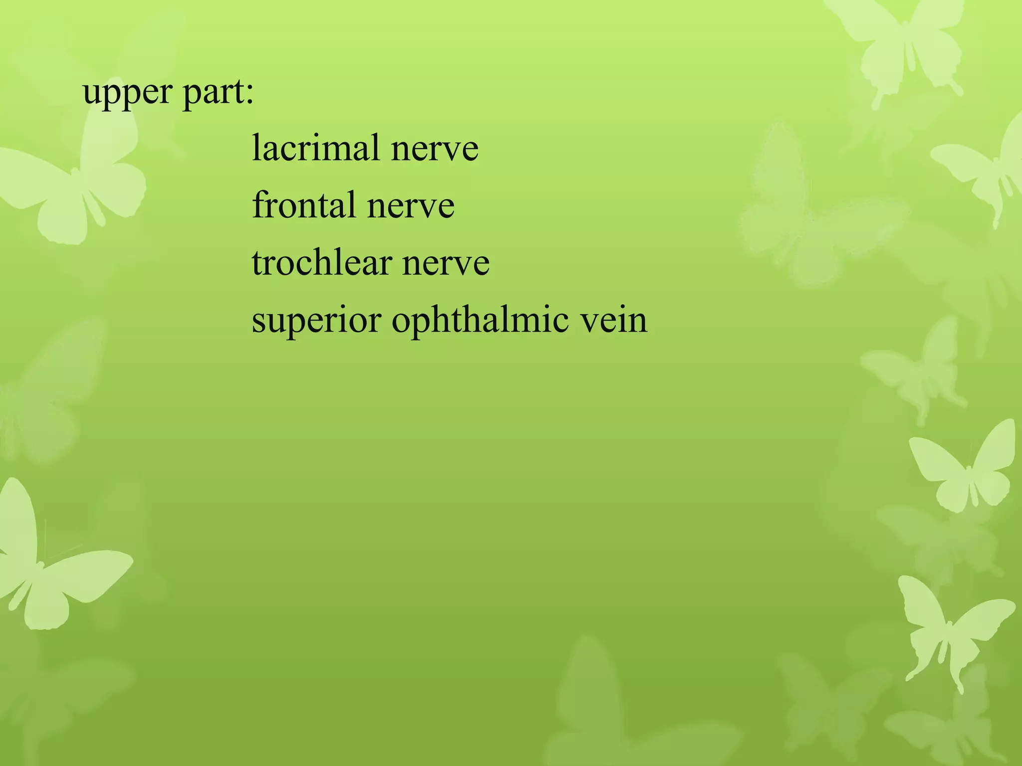 Anatomy of Eye Orbit