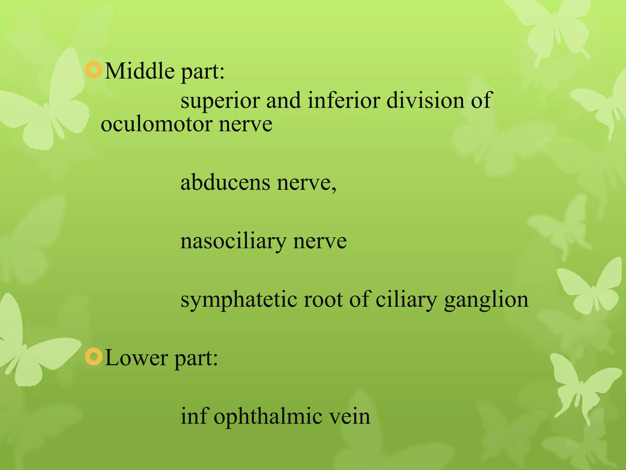 Anatomy of Eye Orbit