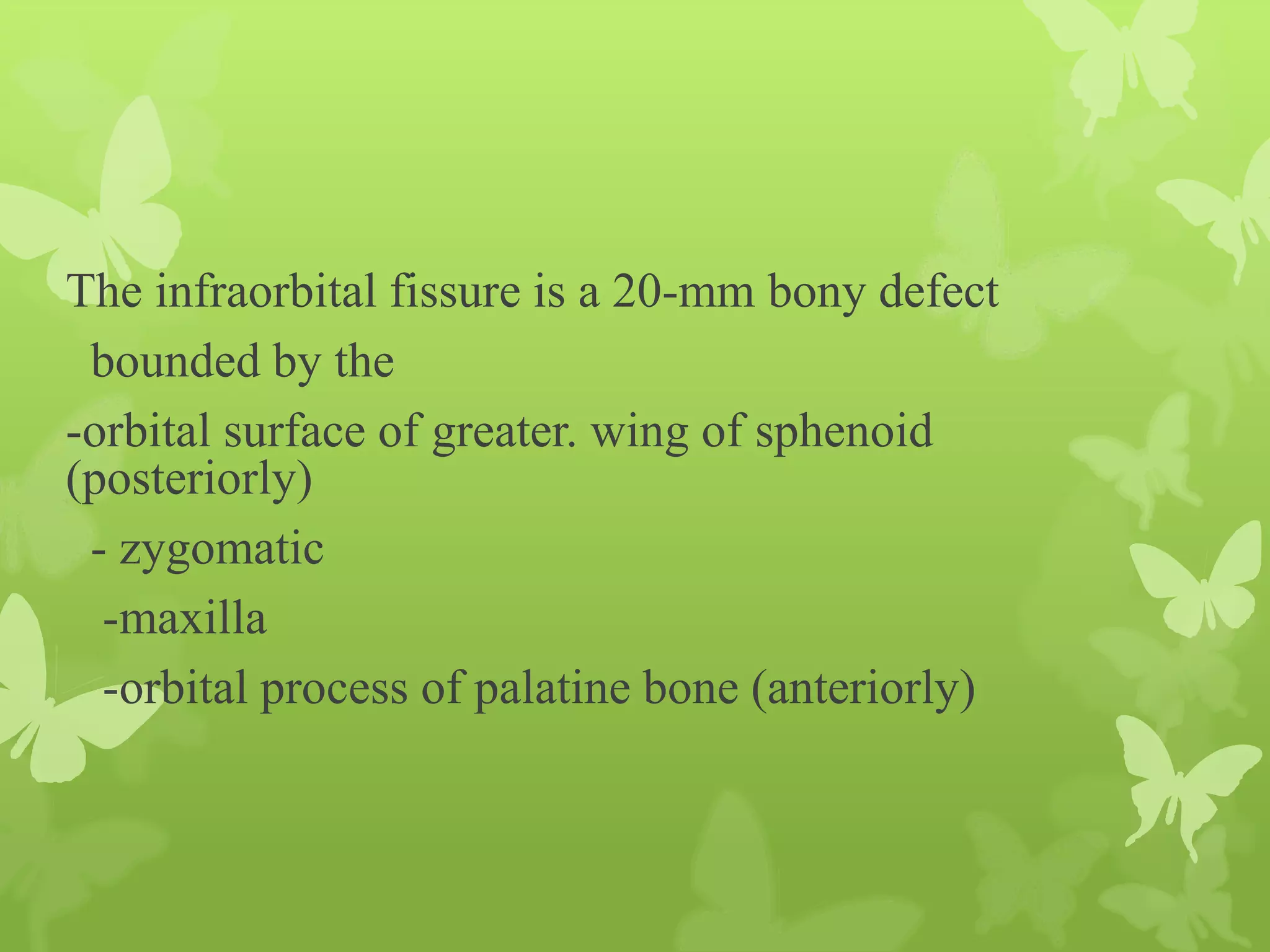 Anatomy of Eye Orbit