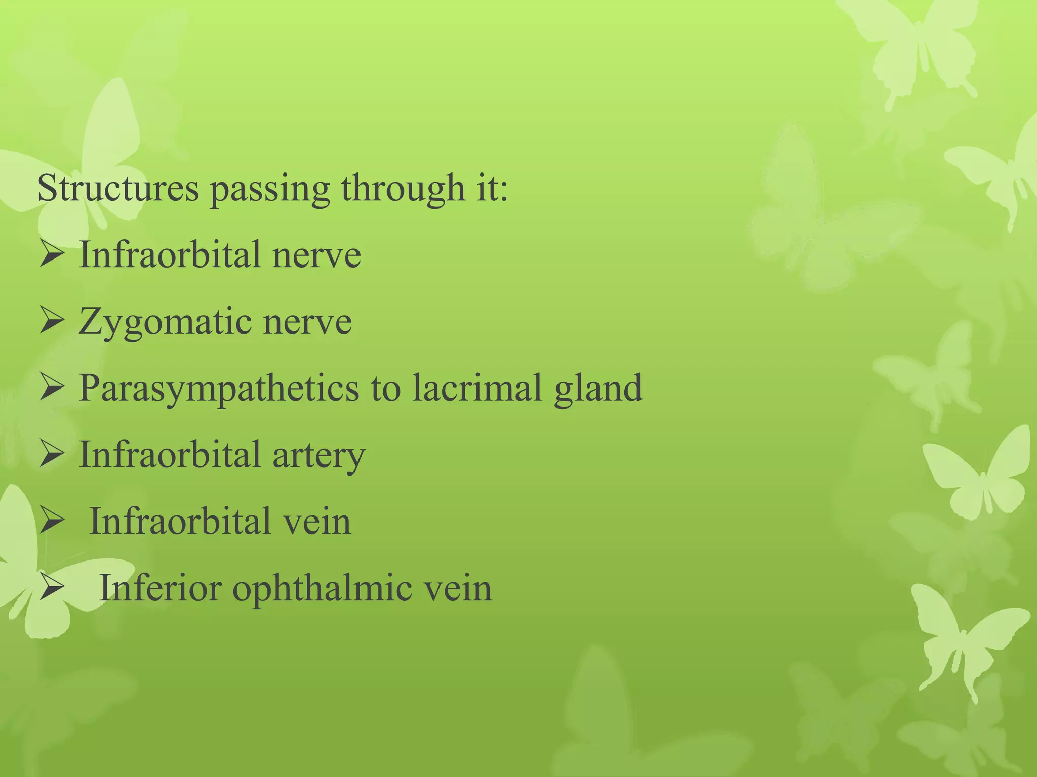 Anatomy of Eye Orbit