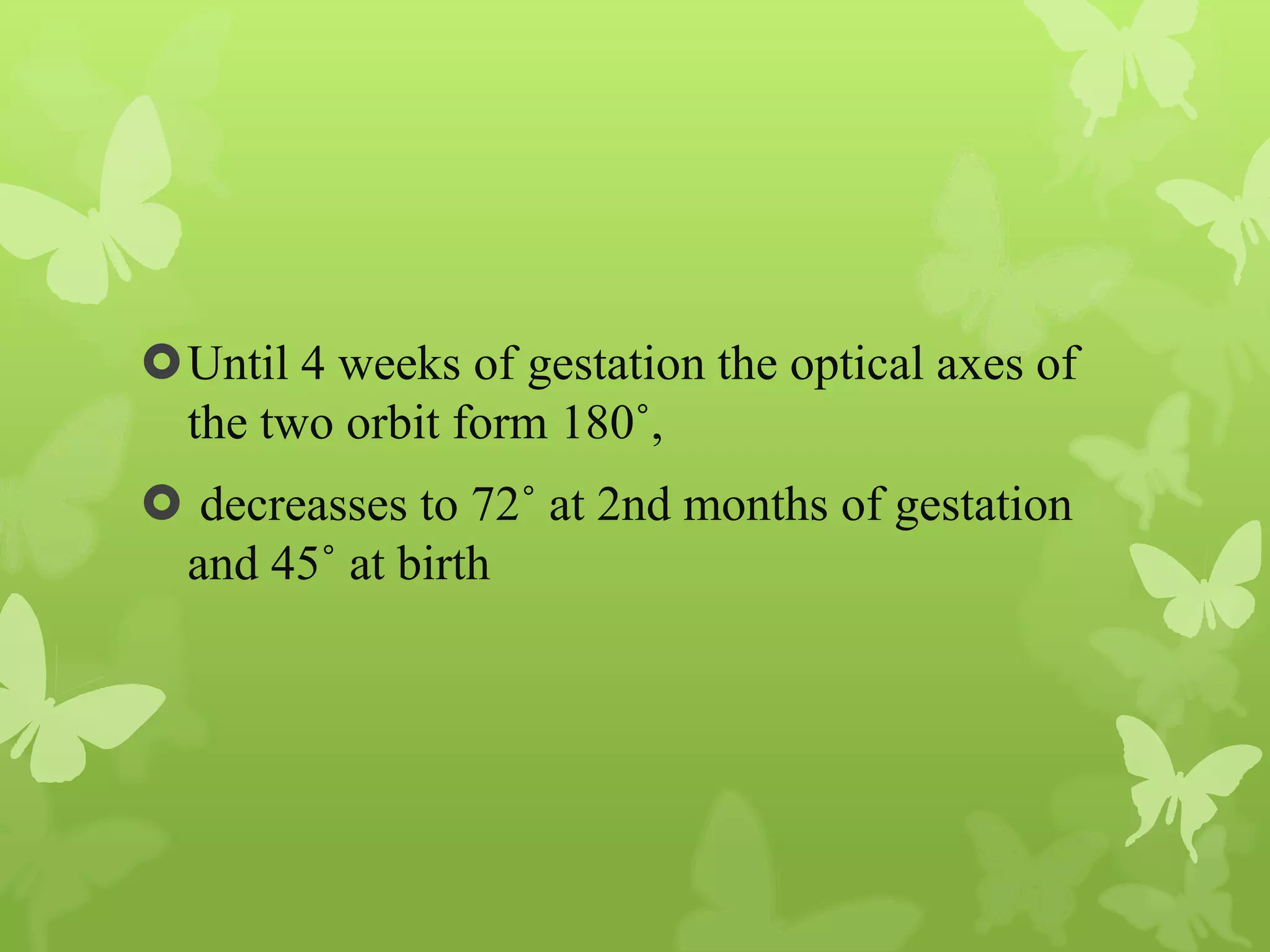 Anatomy of Eye Orbit