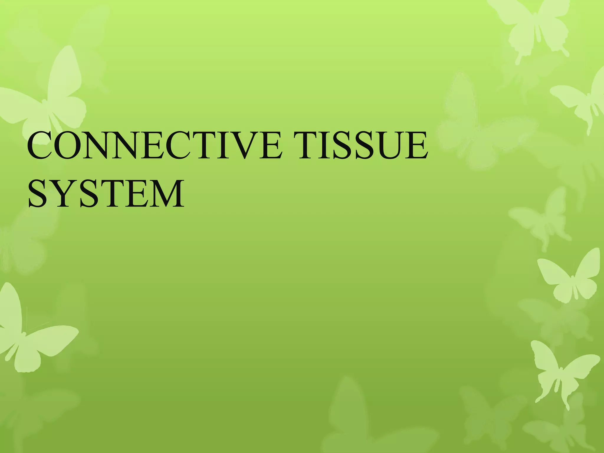 Anatomy of Eye Orbit