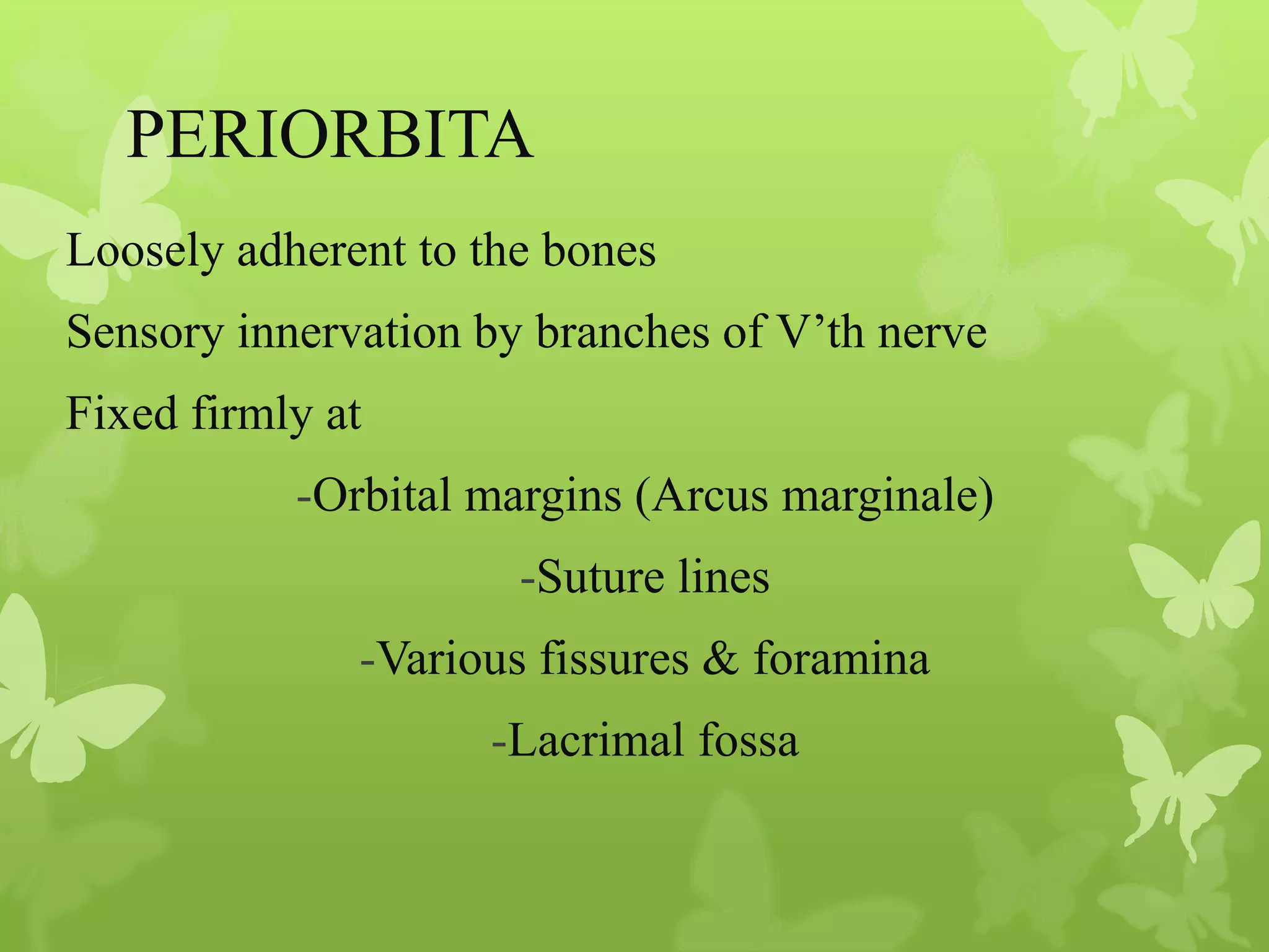 Anatomy of Eye Orbit