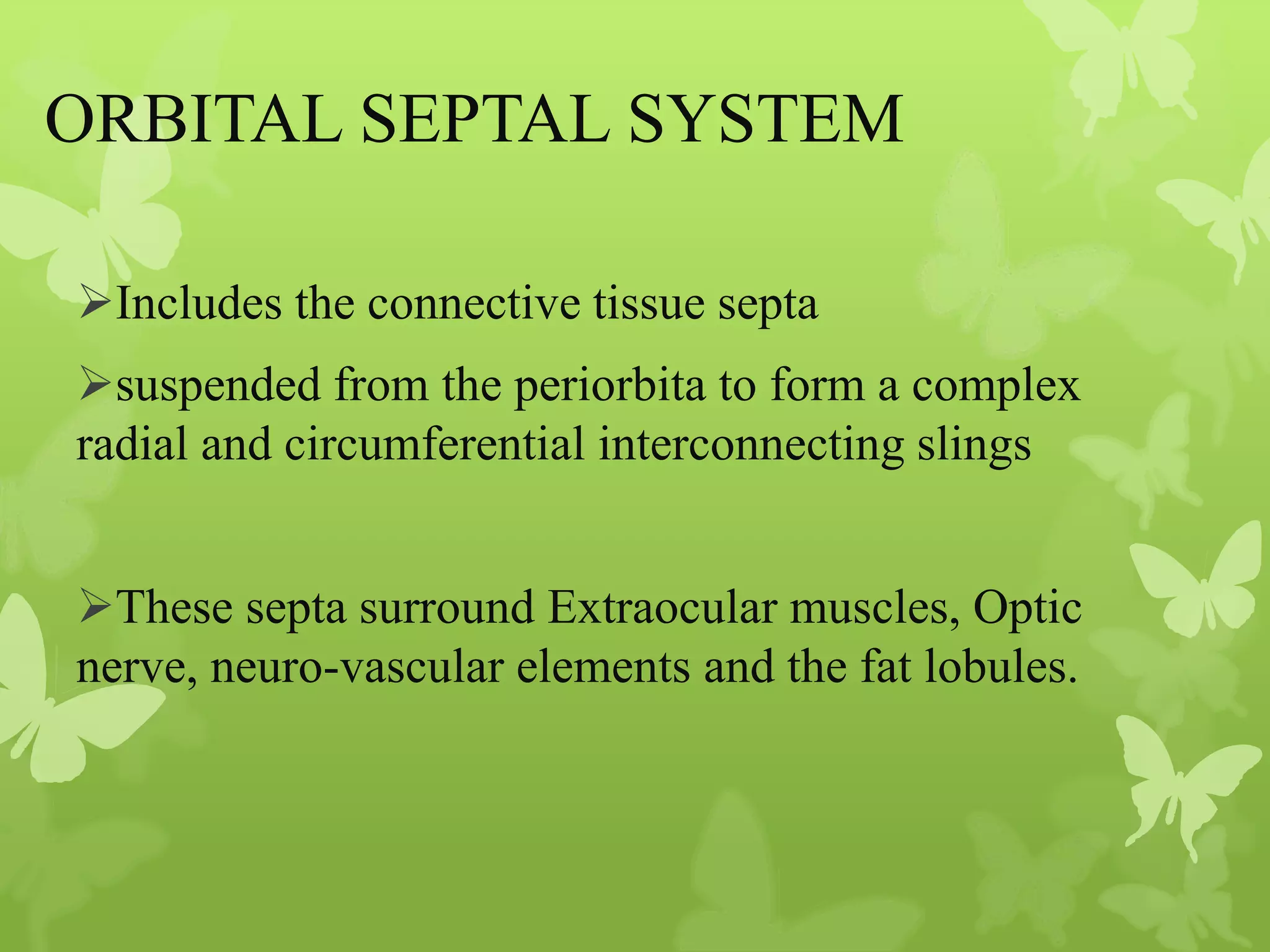 Anatomy of Eye Orbit