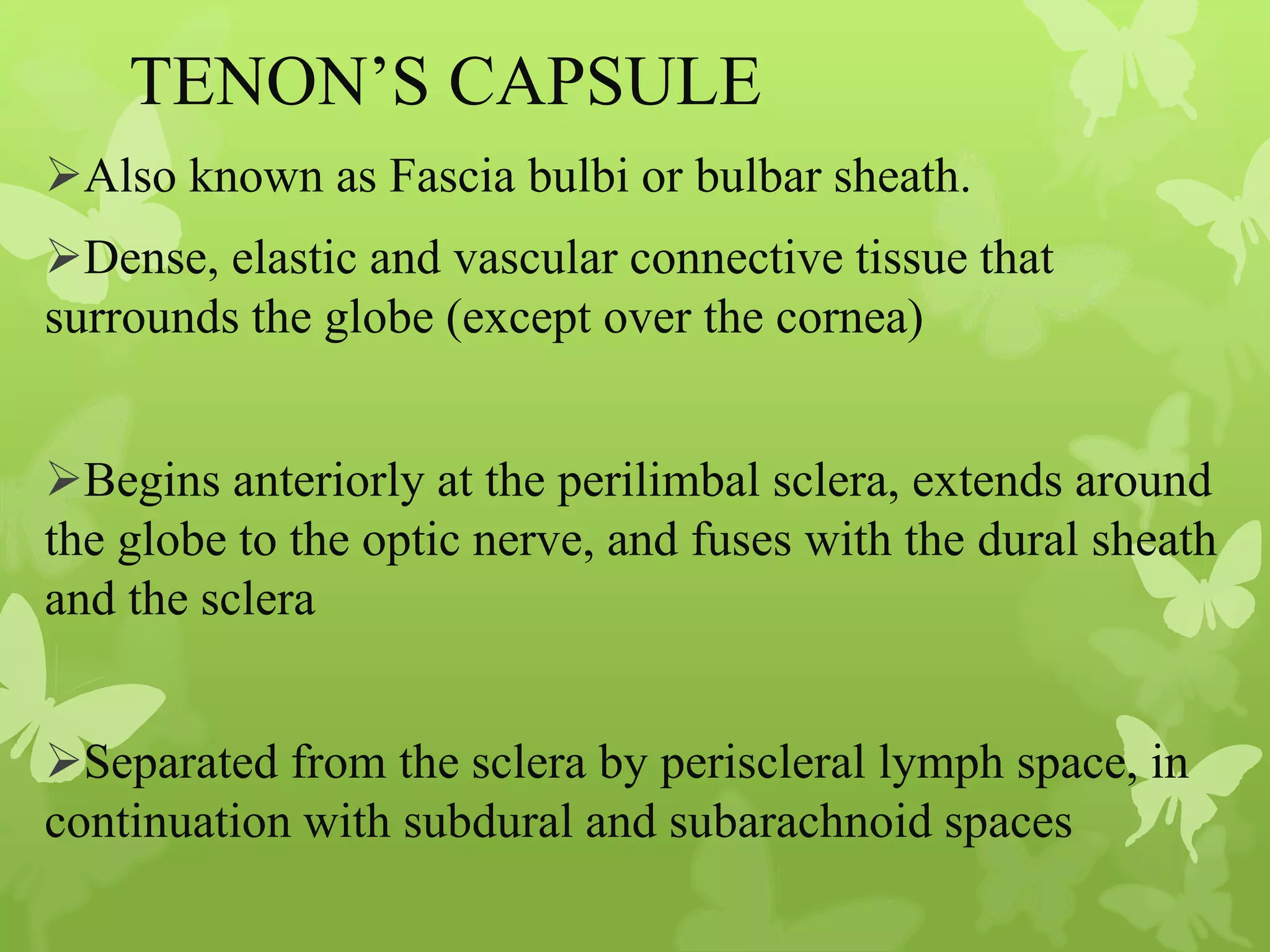 Anatomy of Eye Orbit