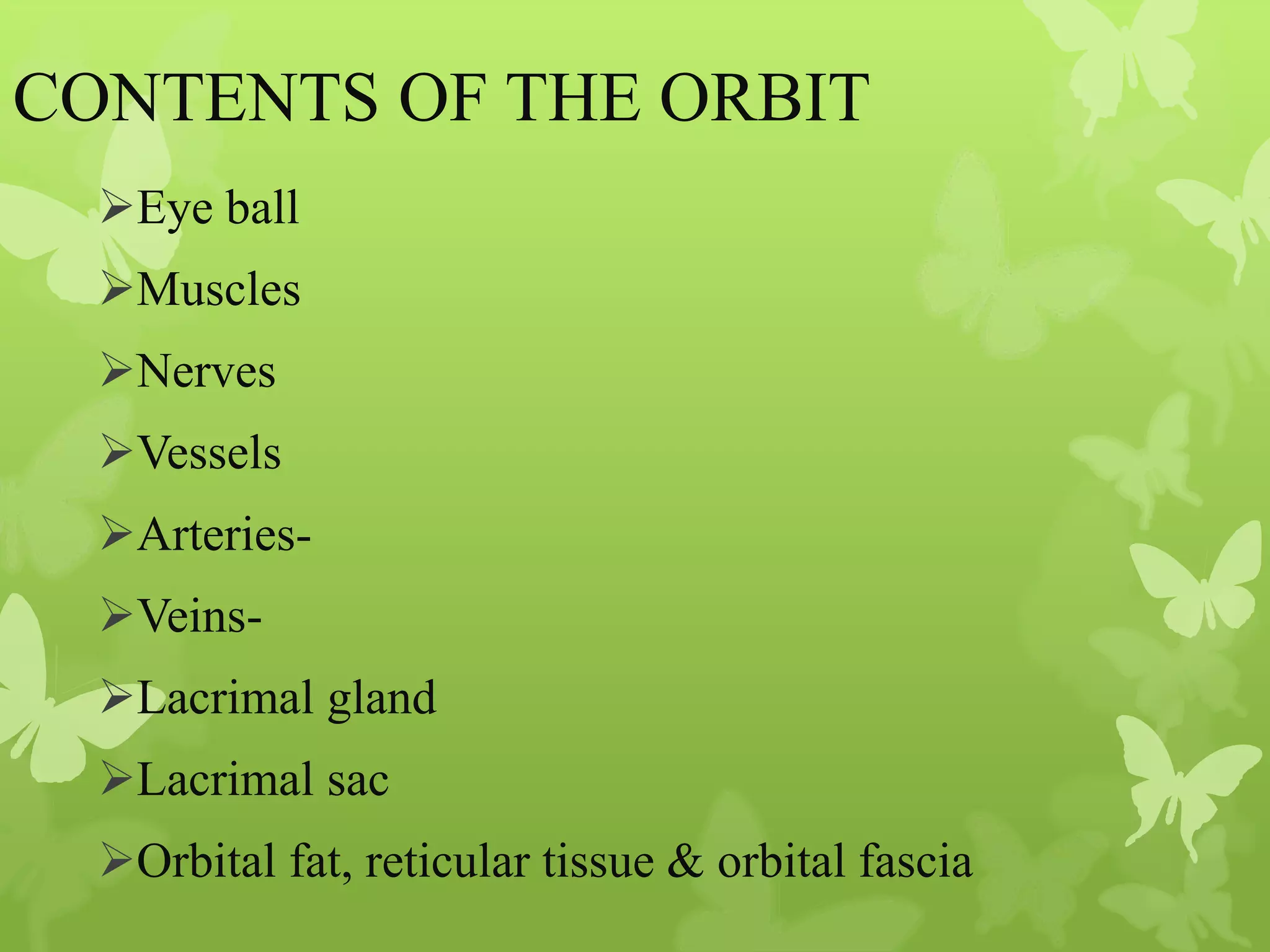 Anatomy of Eye Orbit