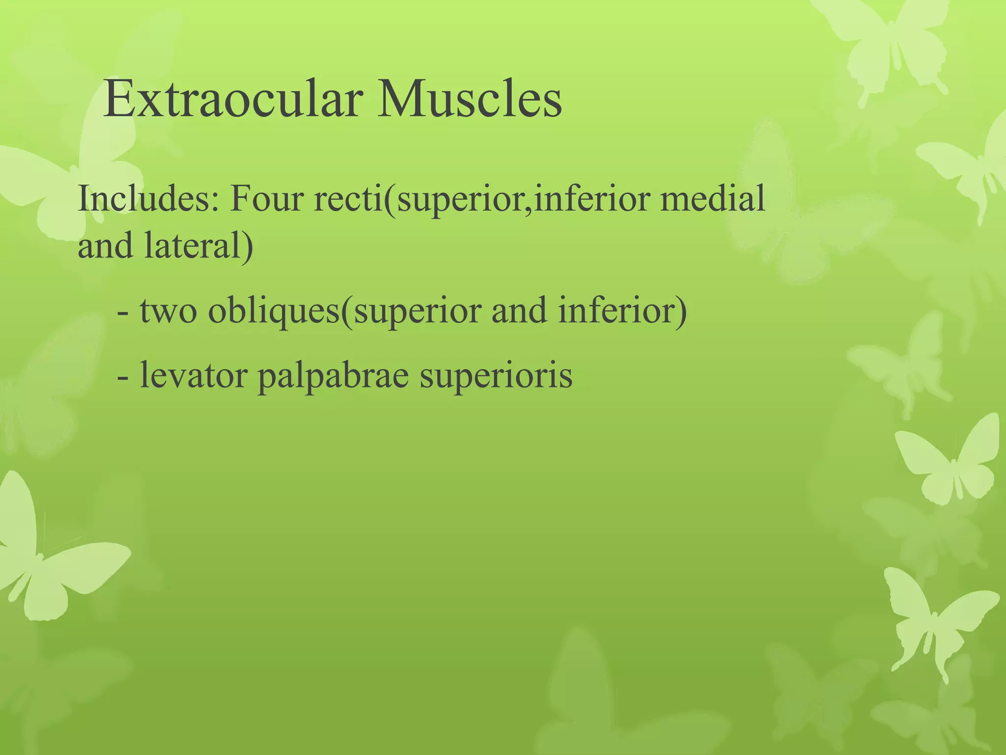 Anatomy of Eye Orbit