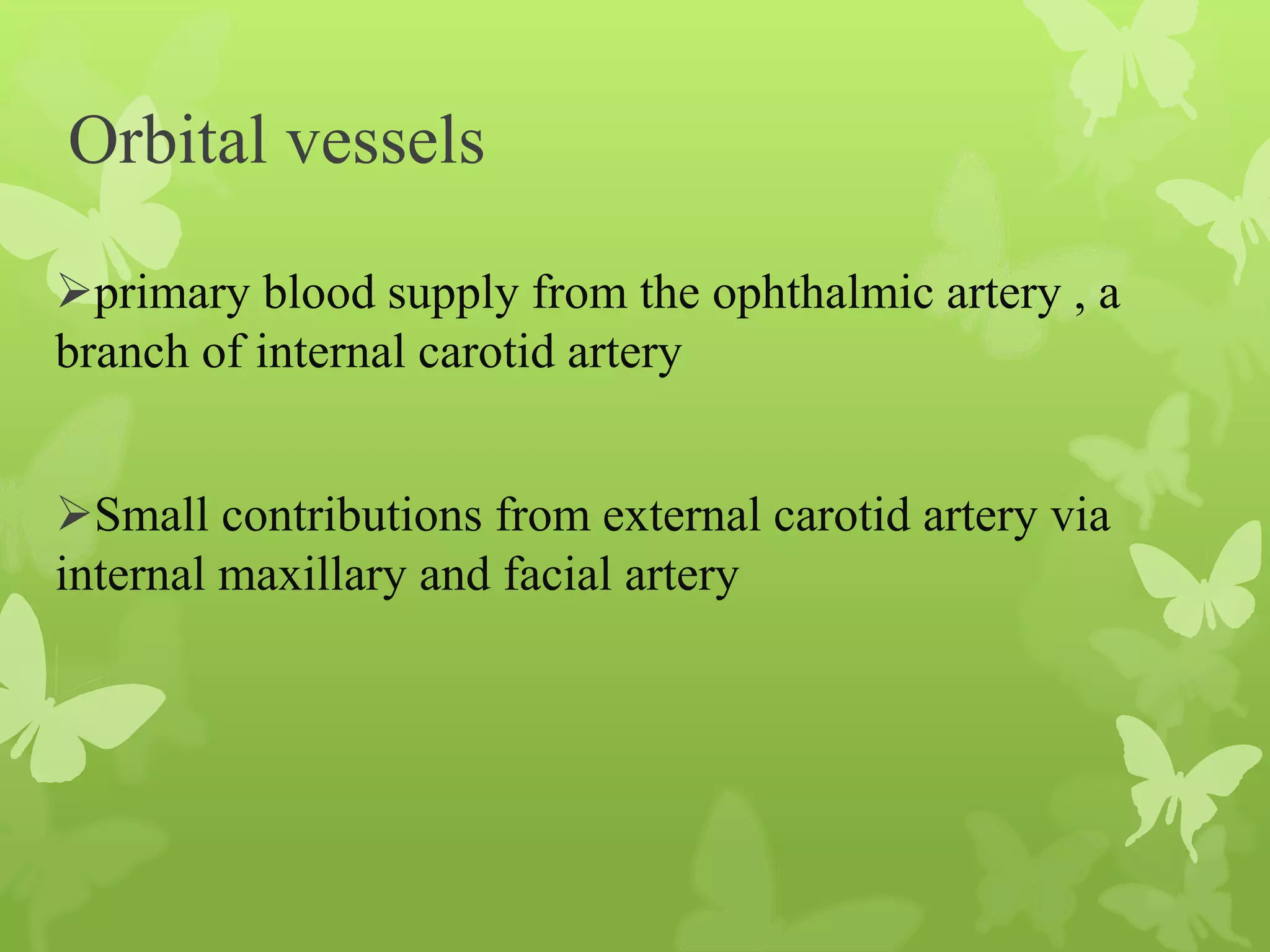 Anatomy of Eye Orbit