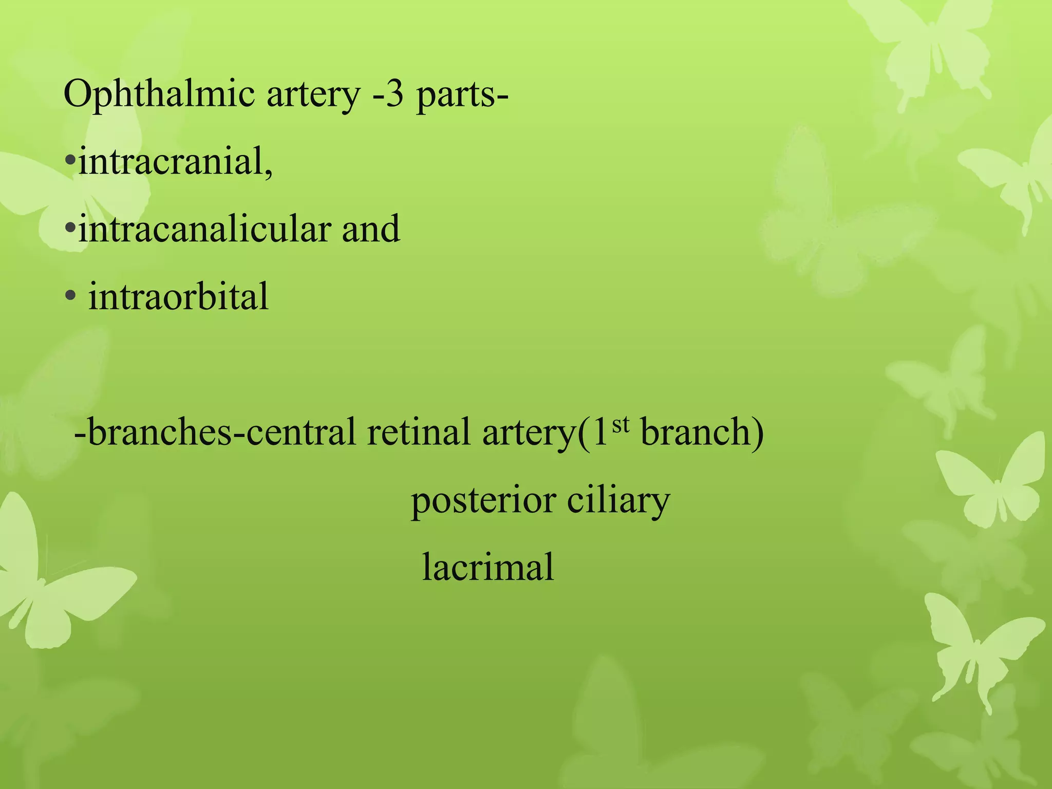Anatomy of Eye Orbit