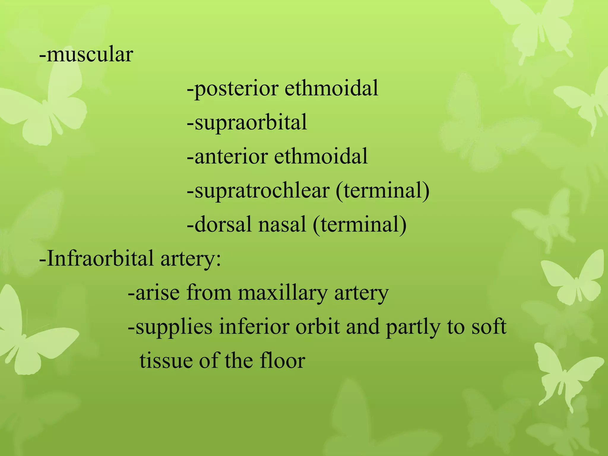 Anatomy of Eye Orbit
