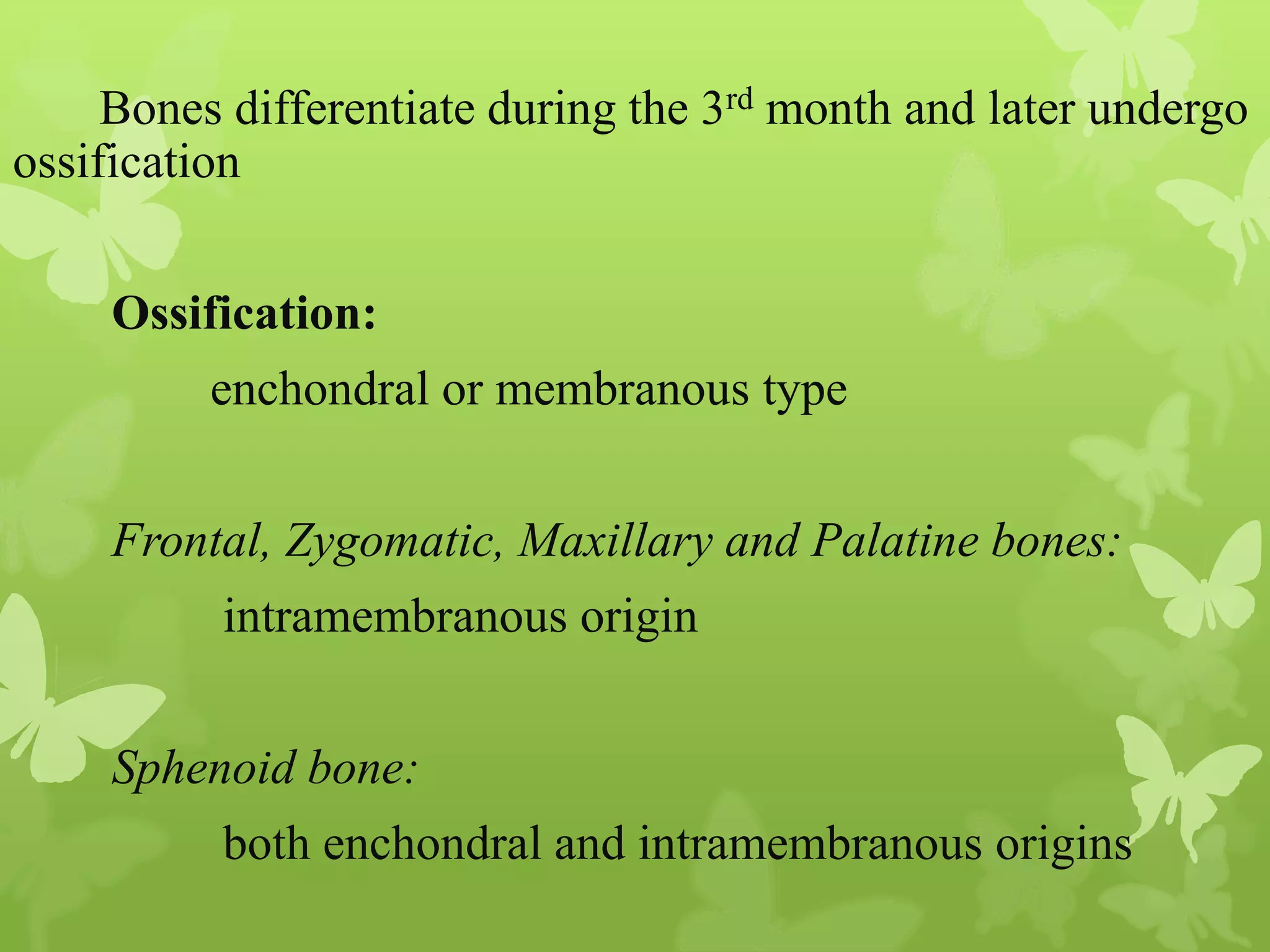 Anatomy of Eye Orbit