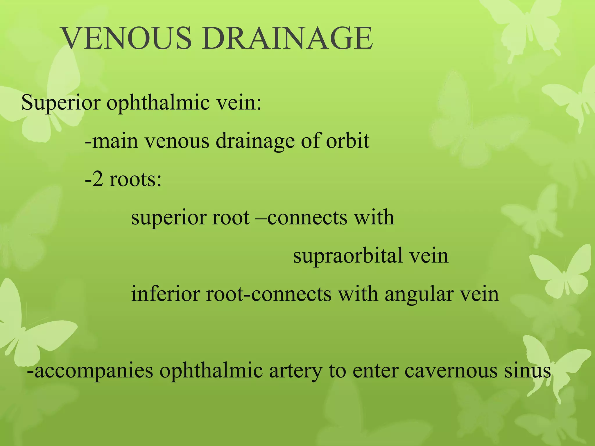 Anatomy of Eye Orbit