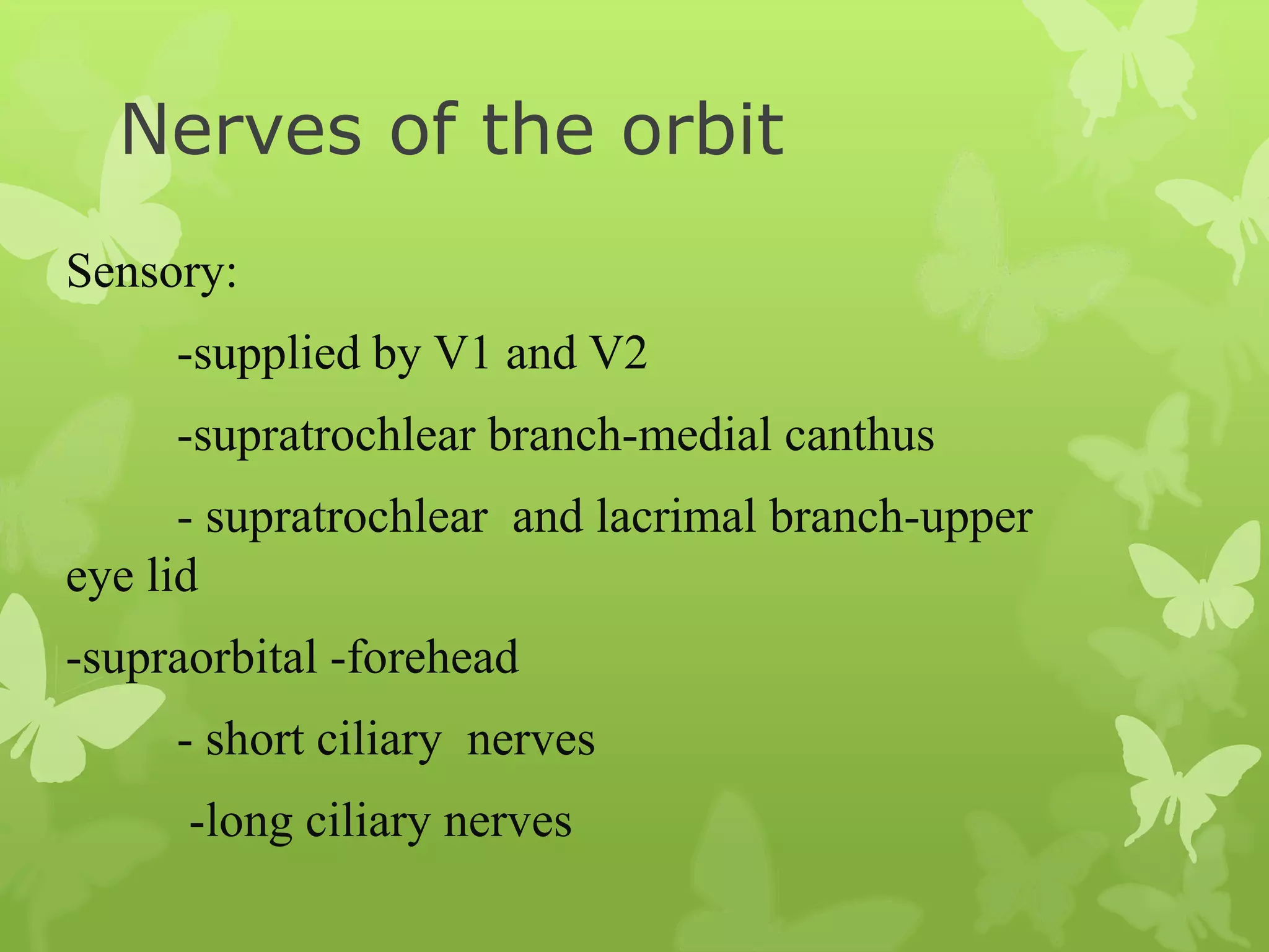 Anatomy of Eye Orbit