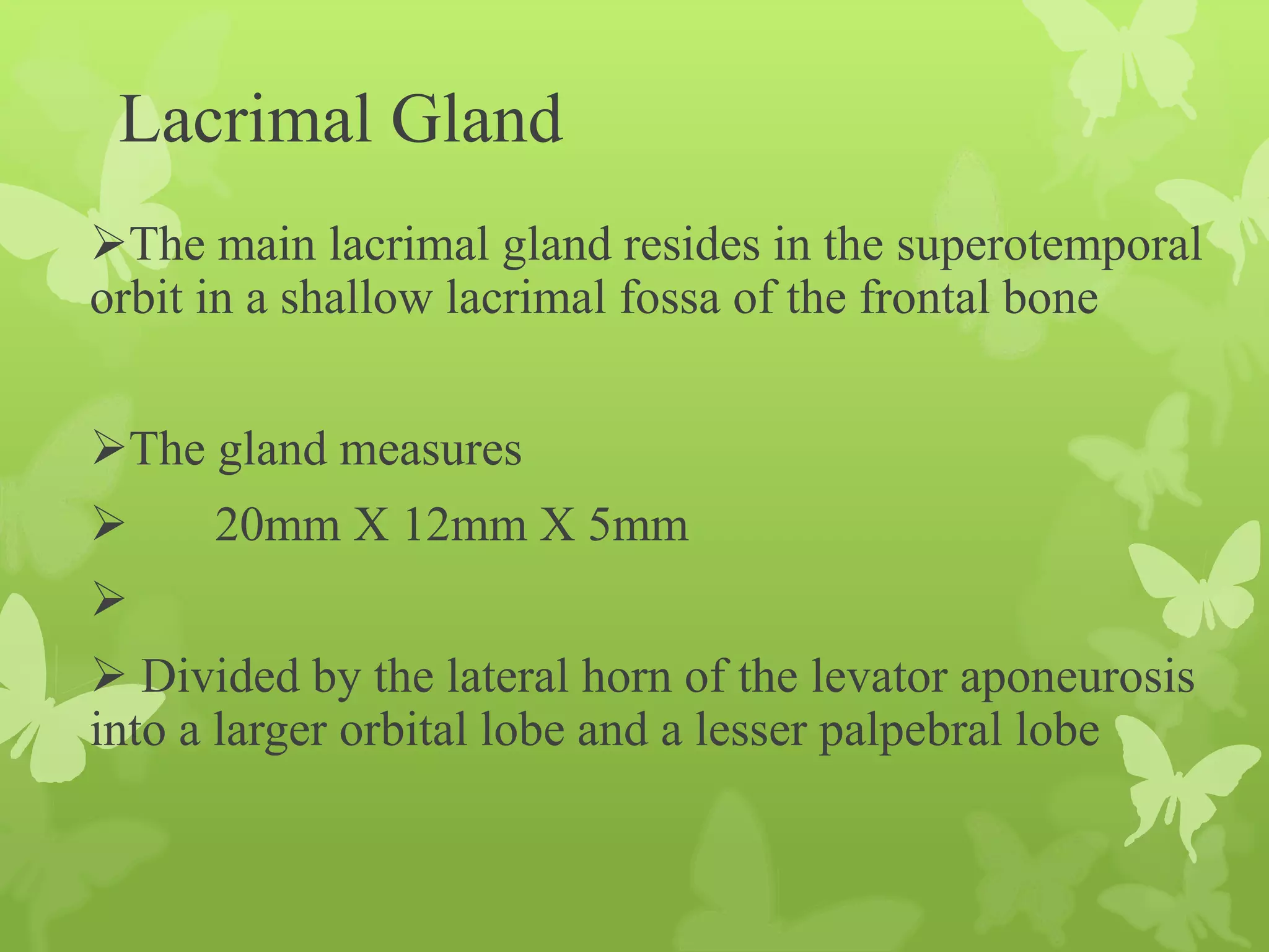 Anatomy of Eye Orbit
