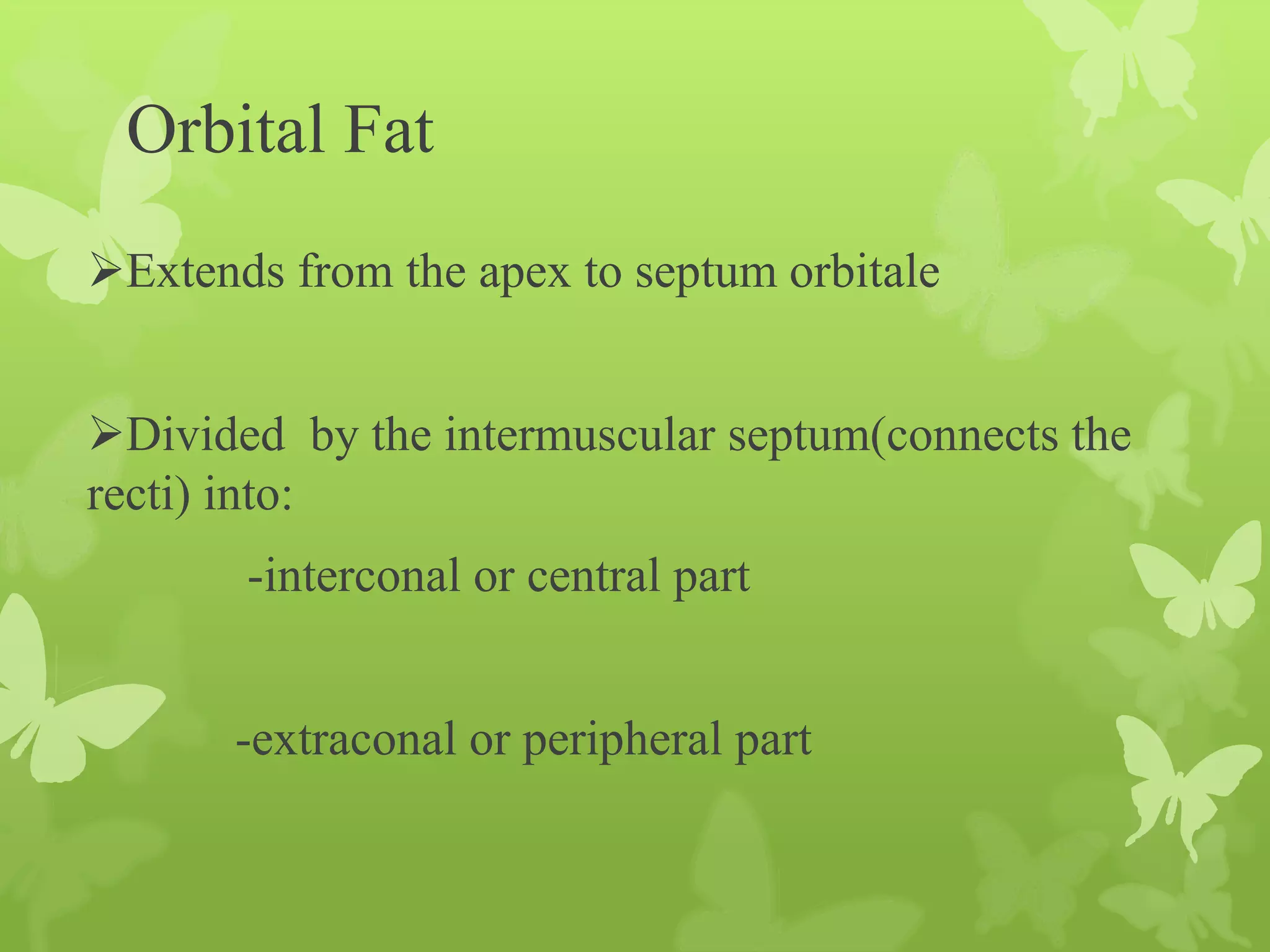Anatomy of Eye Orbit