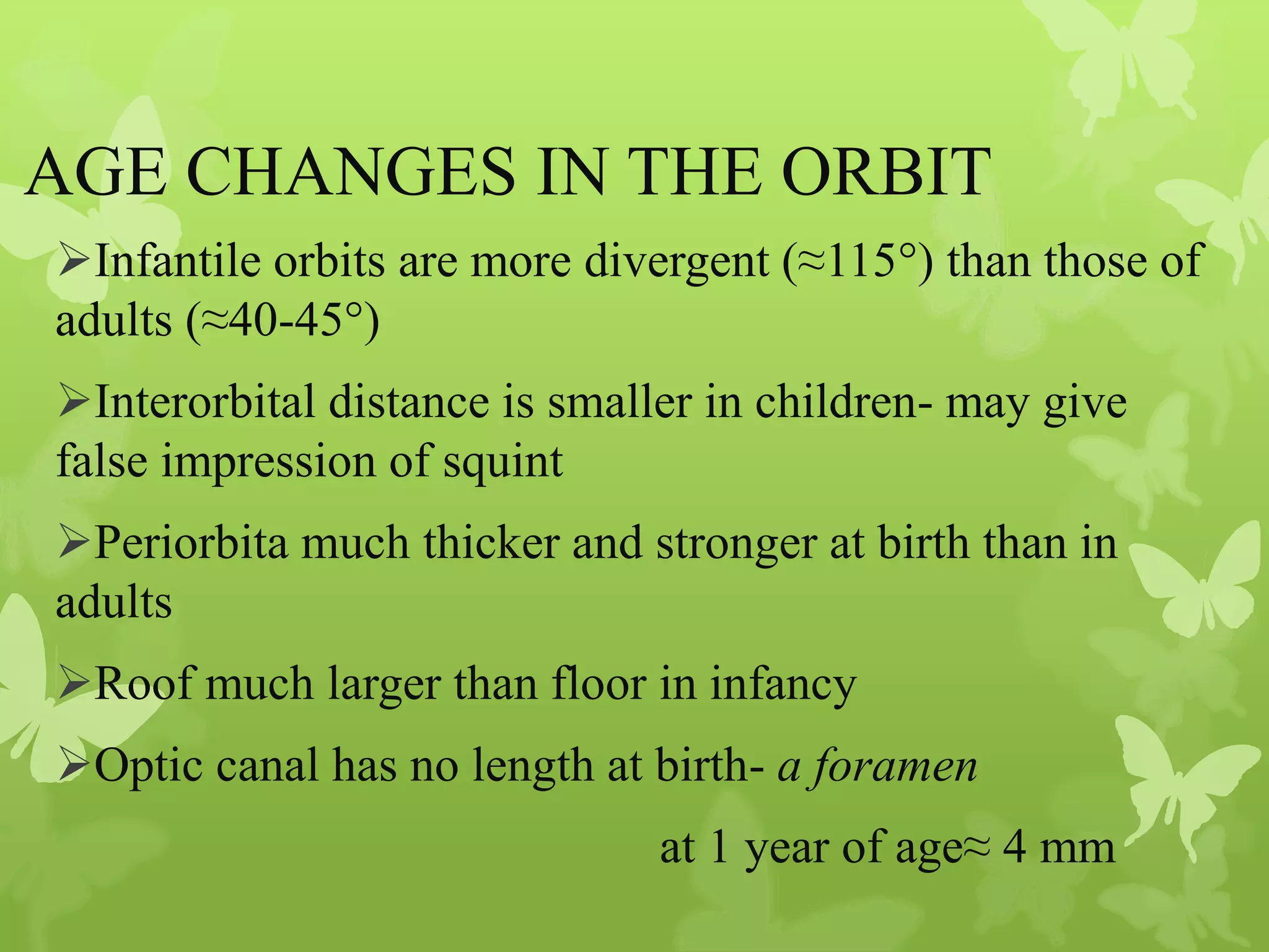 Anatomy of Eye Orbit