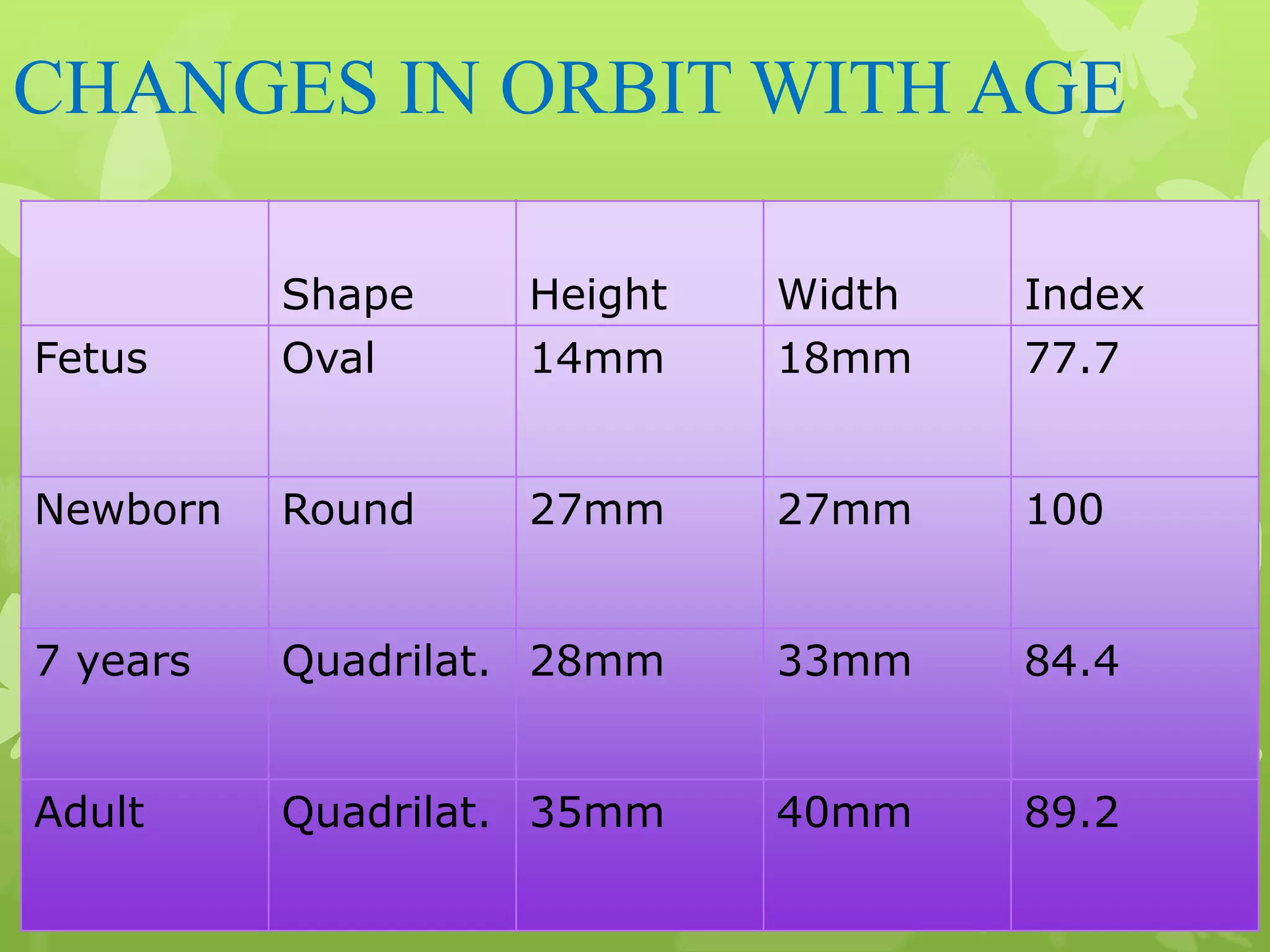 Anatomy of Eye Orbit