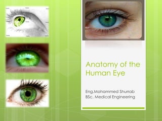Anatomy of the Human Eye Eng.MohammedShurrab BSc. Medical Engineering 