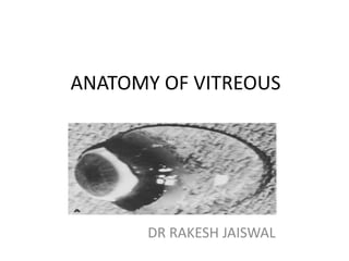 ANATOMY OF VITREOUS
DR RAKESH JAISWAL
 