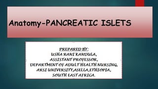 Anatomy-PANCREATIC ISLETS
 
