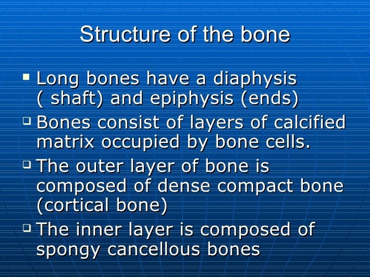 Anatomy & Physiology Slides