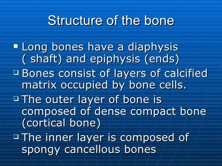 Anatomy & Physiology Slides