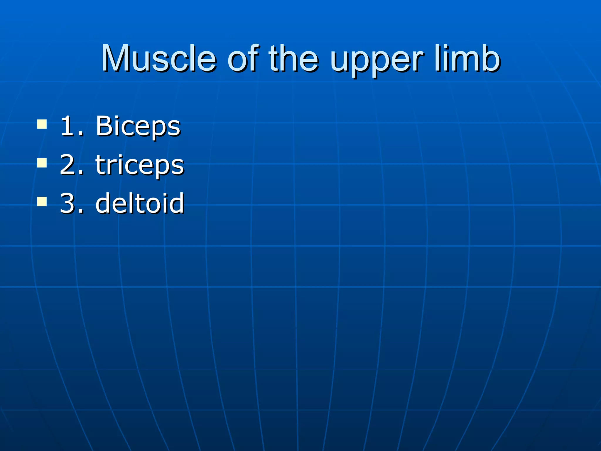 Muscle of the upper limb 1. Biceps 2. triceps 3. deltoid 