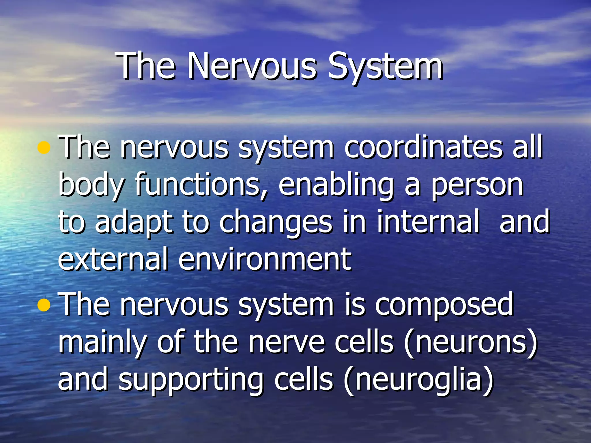 The Nervous System The nervous system coordinates all body functions, enabling a person to adapt to changes in internal  and external environment The nervous system is composed mainly of the nerve cells (neurons) and supporting cells (neuroglia) 