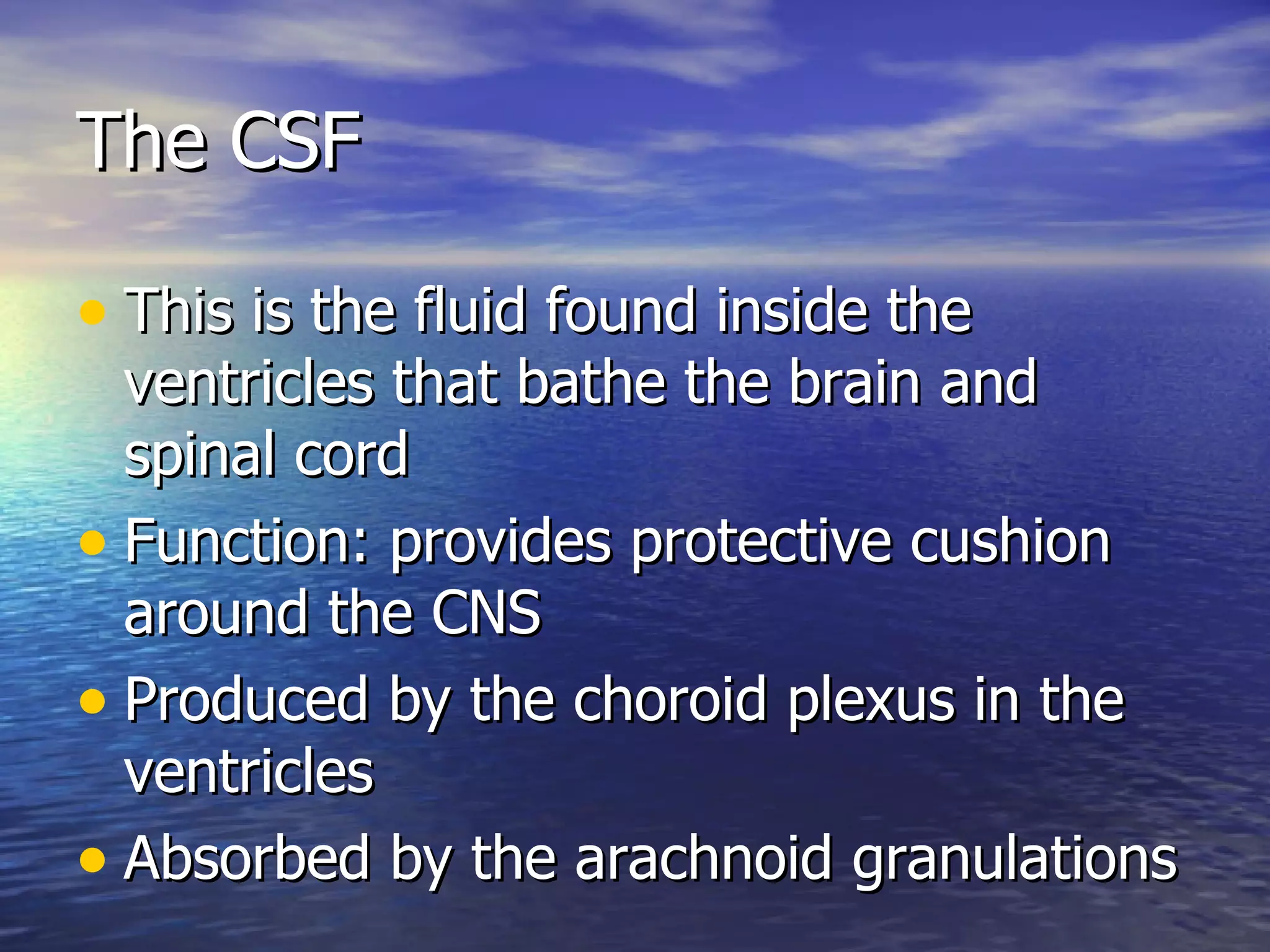 The CSF This is the fluid found inside the ventricles that bathe the brain and spinal cord Function: provides protective cushion around the CNS Produced by the choroid plexus in the ventricles Absorbed by the arachnoid granulations 