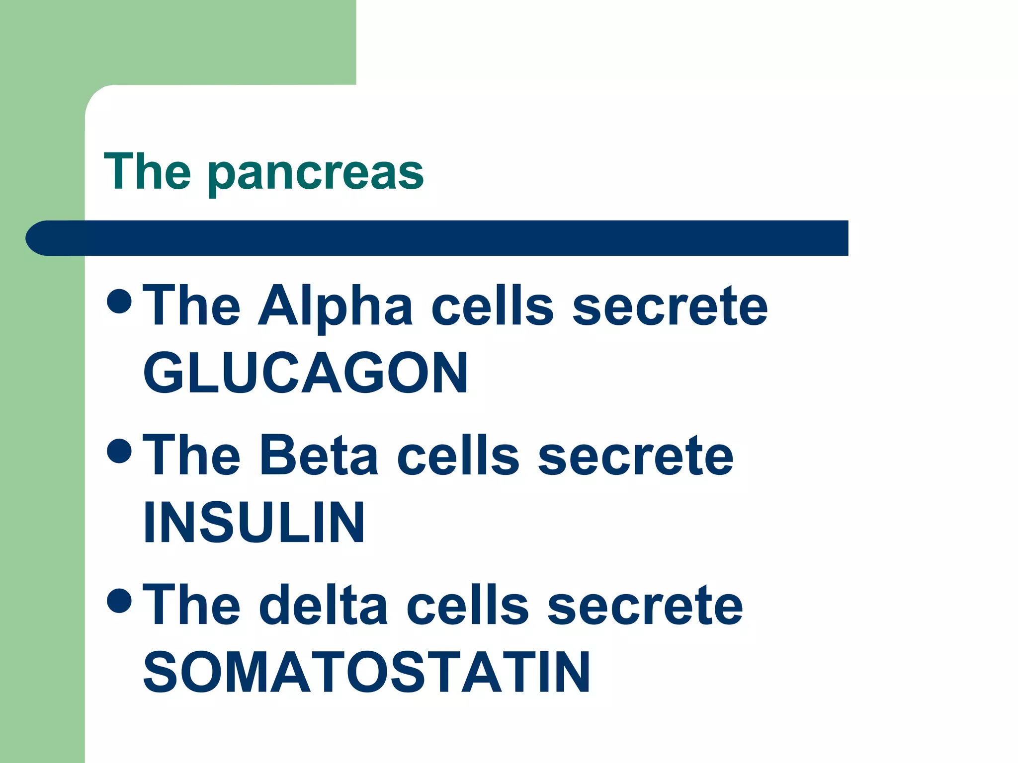 The pancreas The Alpha cells secrete GLUCAGON The Beta cells secrete INSULIN The delta cells secrete SOMATOSTATIN 