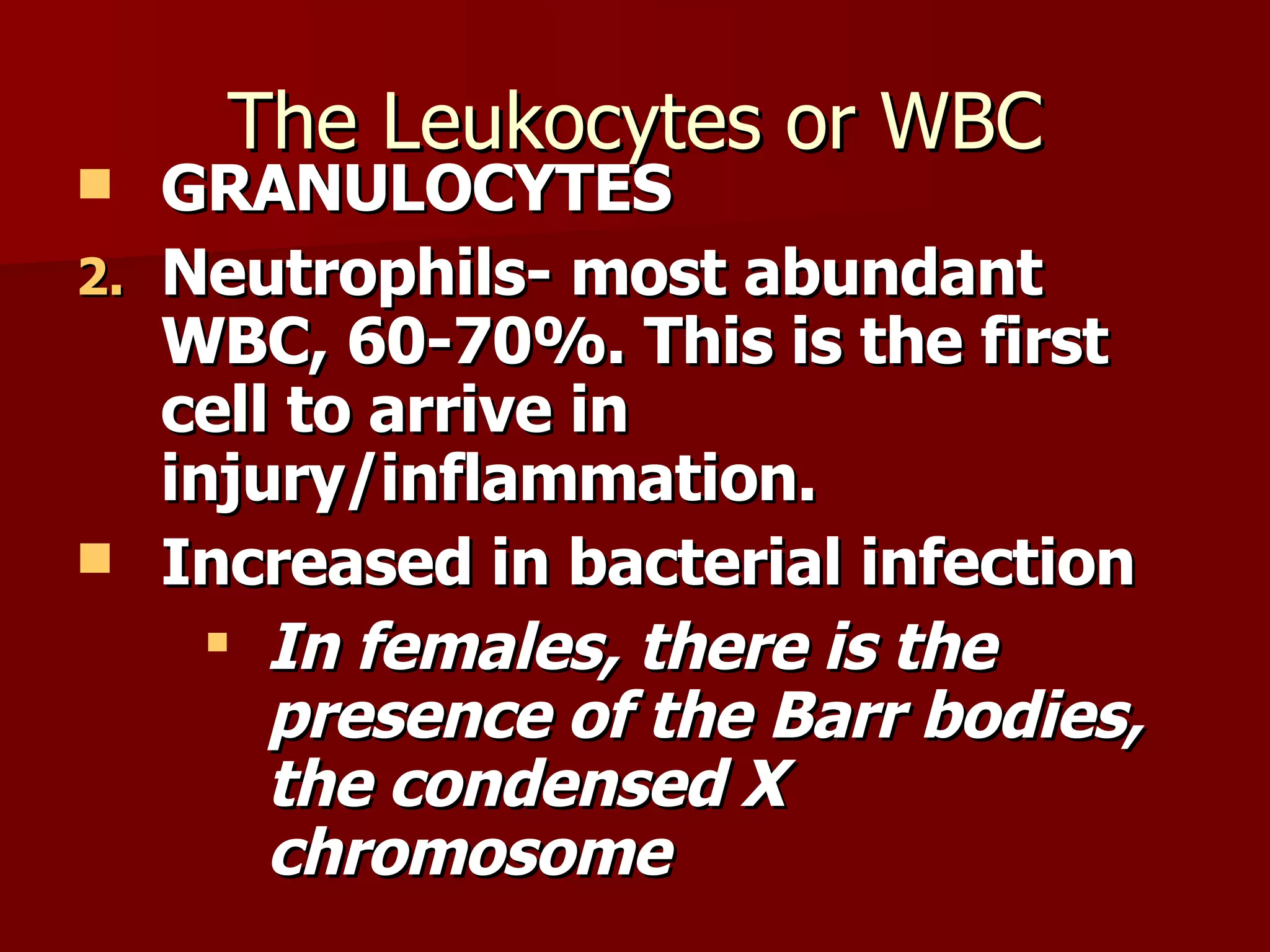 The Leukocytes or WBC GRANULOCYTES Neutrophils- most abundant WBC, 60-70%. This is the first cell to arrive in injury/inflammation. Increased in bacterial infection In females, there is the presence of the Barr bodies, the condensed X chromosome 