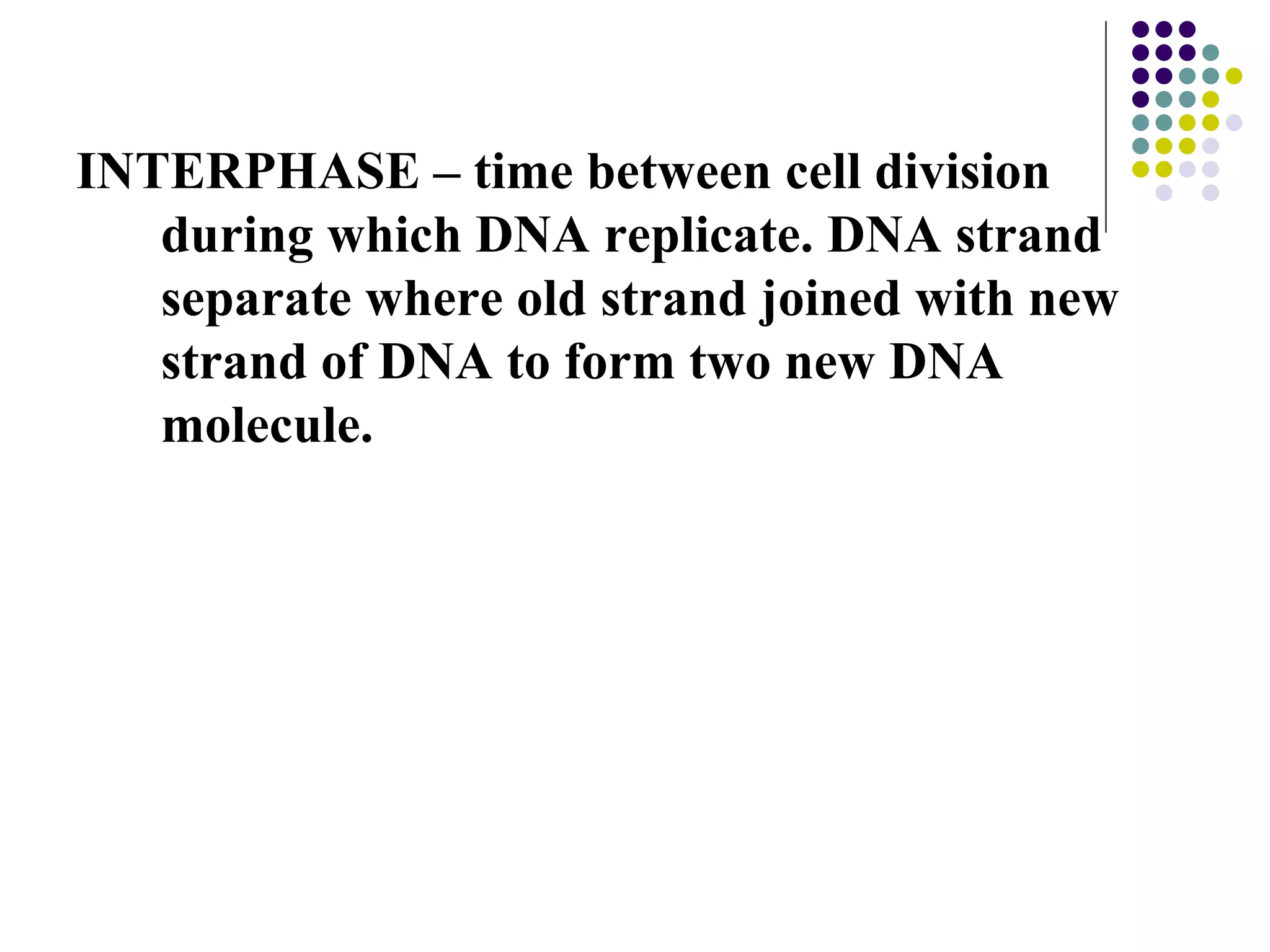 INTERPHASE – time between cell division during which DNA replicate. DNA strand separate where old strand joined with new strand of DNA to form two new DNA molecule. 