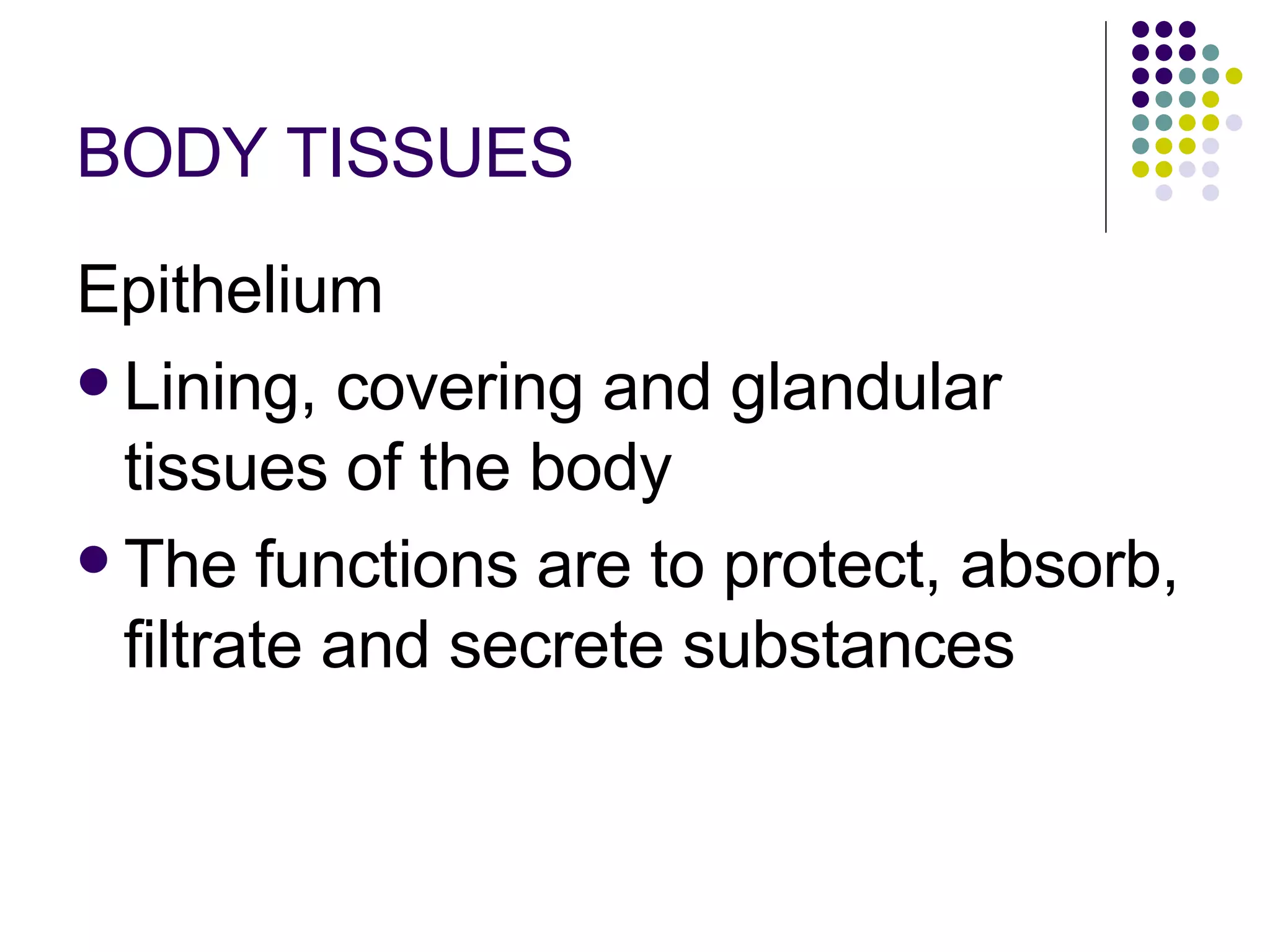 BODY TISSUES Epithelium Lining, covering and glandular tissues of the body The functions are to protect, absorb, filtrate and secrete substances 