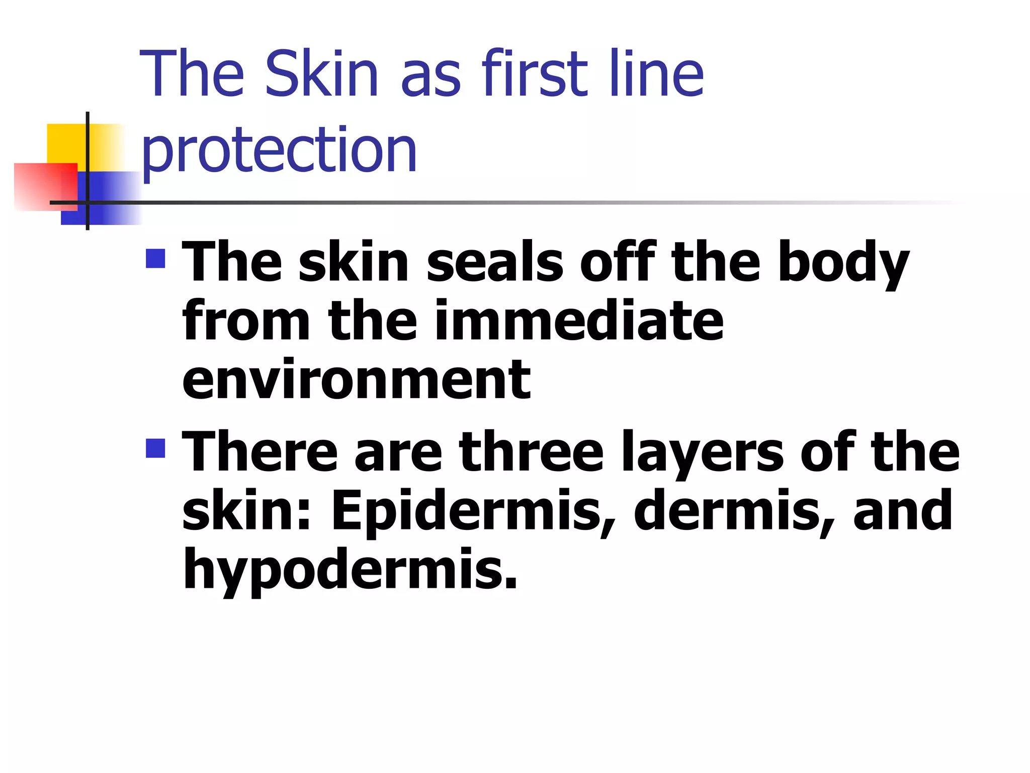 The Skin as first line protection The skin seals off the body from the immediate environment There are three layers of the skin: Epidermis, dermis, and hypodermis. 