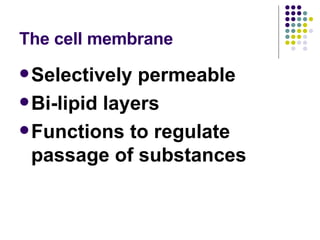 The cell membrane Selectively permeable Bi-lipid layers Functions to regulate passage of substances 