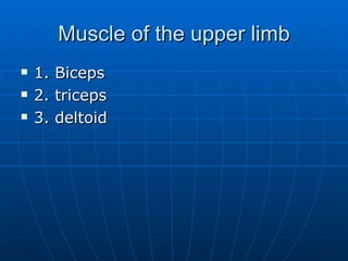 Muscle of the upper limb 1. Biceps 2. triceps 3. deltoid 