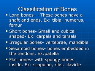 Classification of Bones Long bones- - These bones have a shaft and ends. Ex: tibia, humerus, femur Short bones- Small and cubical shaped- Ex: carpals and tarsals Irregular bones- vertebrae, mandible Sesamoid bones- bones embedded in the tendons. Ex:patella Flat bones- with spongy bones inside. Ex: scapulae, ribs, clavicle 