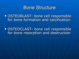 Bone Structure OSTEOBLAST- bone cell responsible for bone formation and calcification OSTEOCLAST- bone cell responsible for bone resorption and destruction 