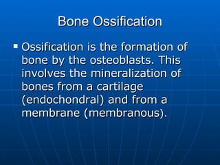 Bone Ossification Ossification is the formation of bone by the osteoblasts. This involves the mineralization of bones from a cartilage (endochondral) and from a membrane (membranous ). 