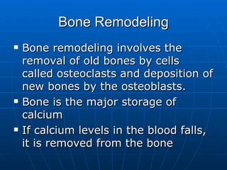Bone Remodeling Bone remodeling involves the removal of old bones by cells called osteoclasts and deposition of new bones by the osteoblasts.  Bone is the major storage of calcium If calcium levels in the blood falls, it is removed from the bone  