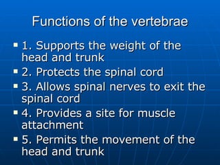 Functions of the vertebrae 1. Supports the weight of the head and trunk 2. Protects the spinal cord 3. Allows spinal nerves to exit the spinal cord 4. Provides a site for muscle attachment 5. Permits the movement of the head and trunk 
