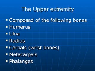 The Upper extremity Composed of the following bones Humerus Ulna Radius Carpals (wrist bones) Metacarpals Phalanges 